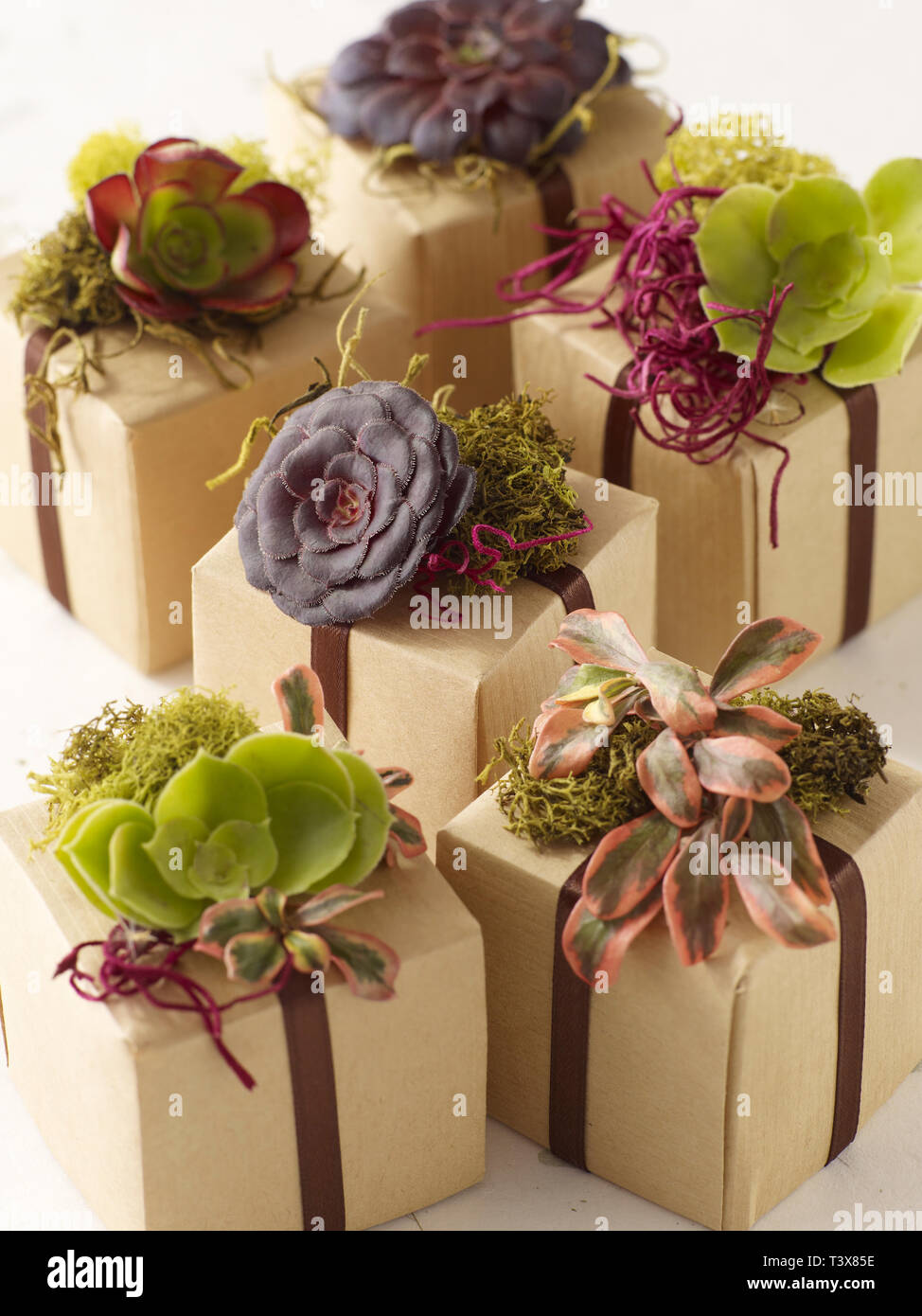 Rustic party favor gift boxes Stock Photo