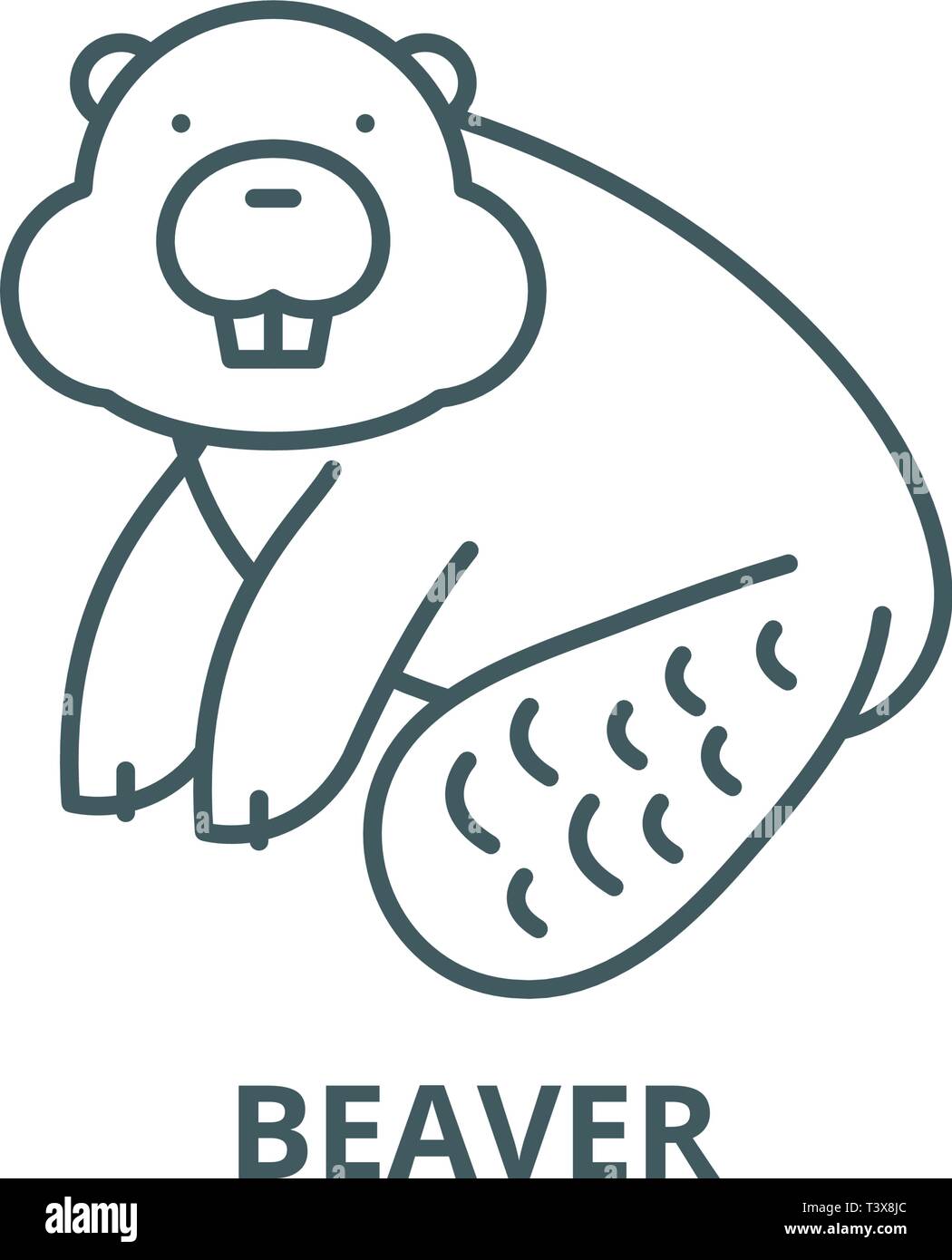 Beaver line icon, vector. Beaver outline sign, concept symbol, flat