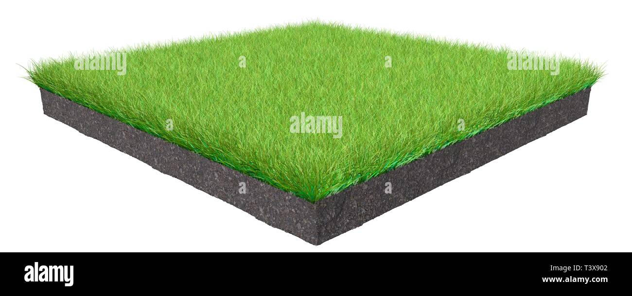 3d rendering of a grass patch isolated on a white background Stock
