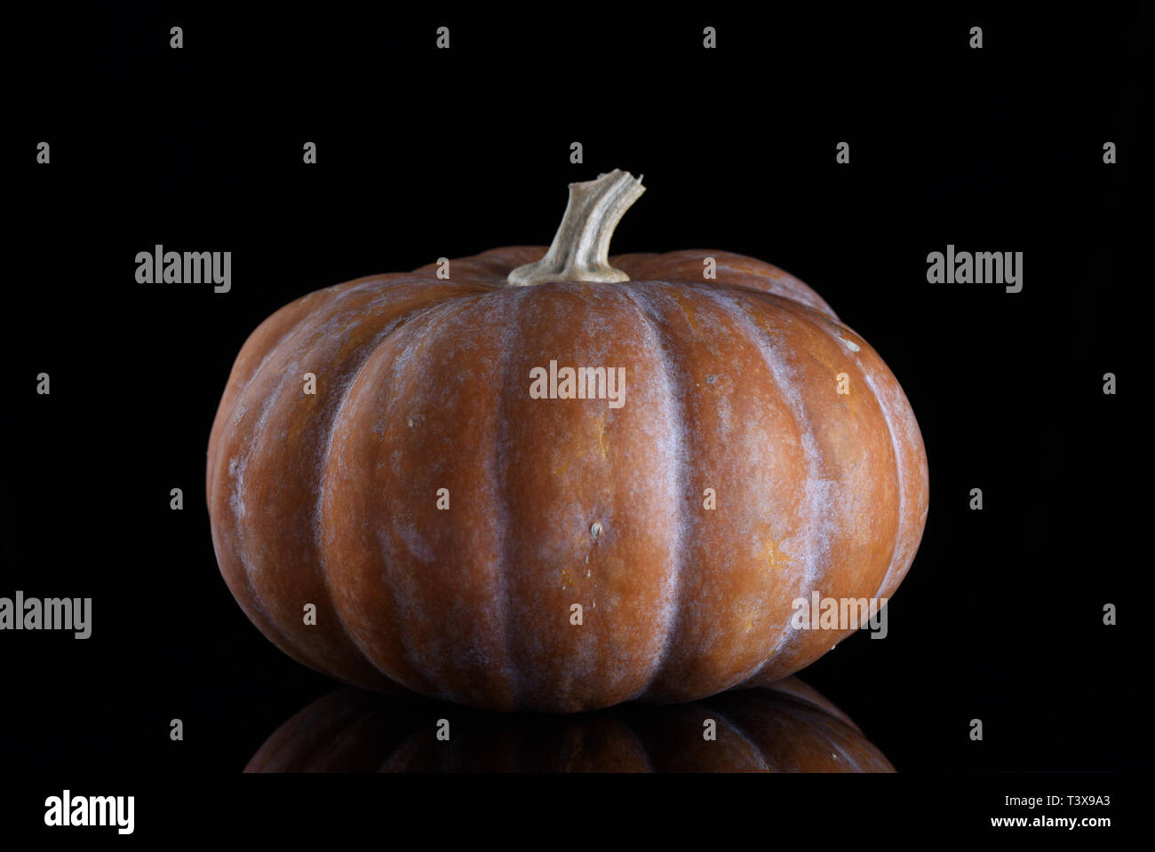 The pumpkin on a black background with a reflection Stock Photo - Alamy