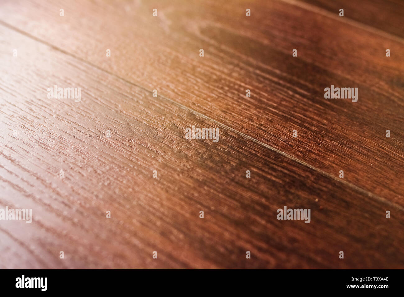 Curated visual reference: Visual Reference: Flooring New Apartment And Home Renovation Concept