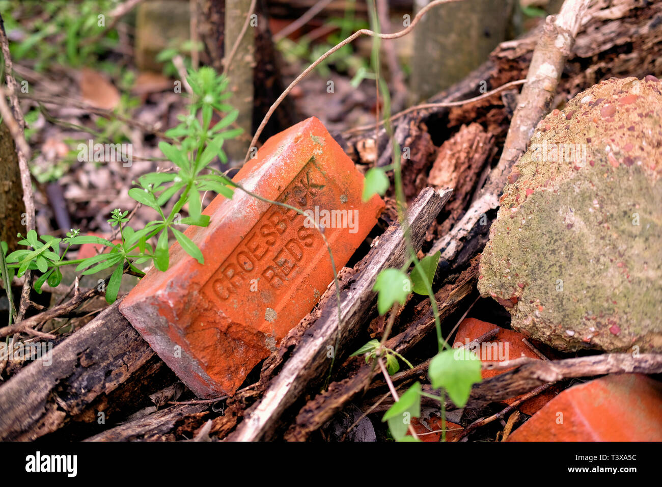 Groesbeck Reds, brick made in a factory in Groesbeck, Texas up until