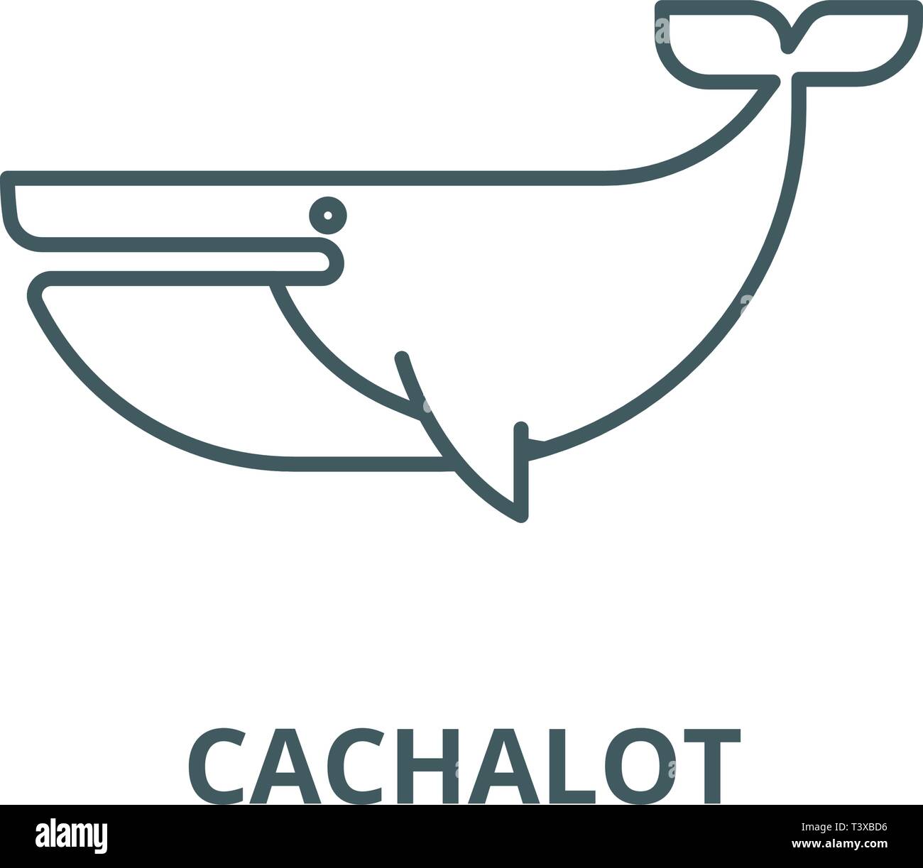 Cachalot line icon, vector. Cachalot outline sign, concept symbol, flat ...