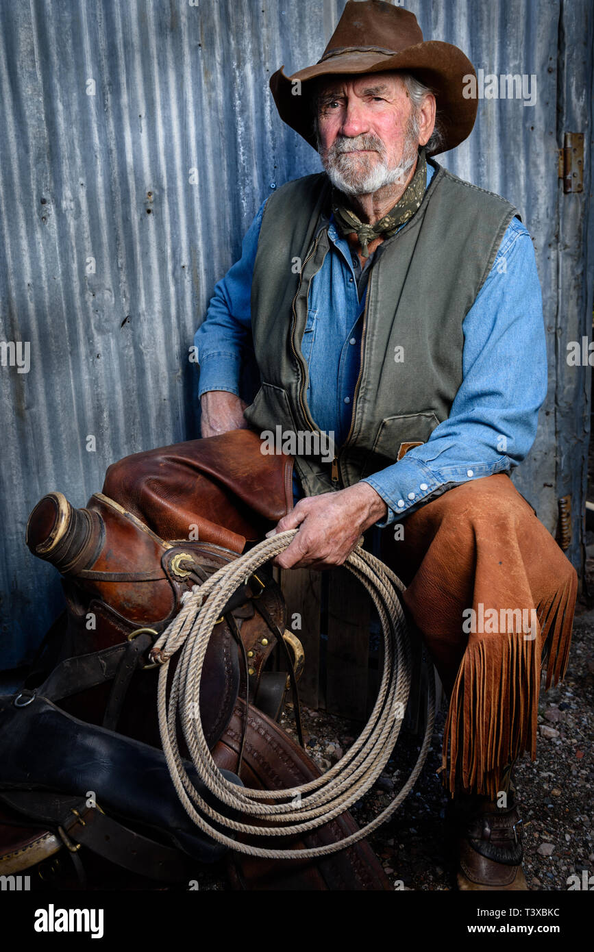 Old cowboy with gray beard wears leather hat, leather chaps, and holds a lasso and is sitting with a leather saddle. Stock Photo