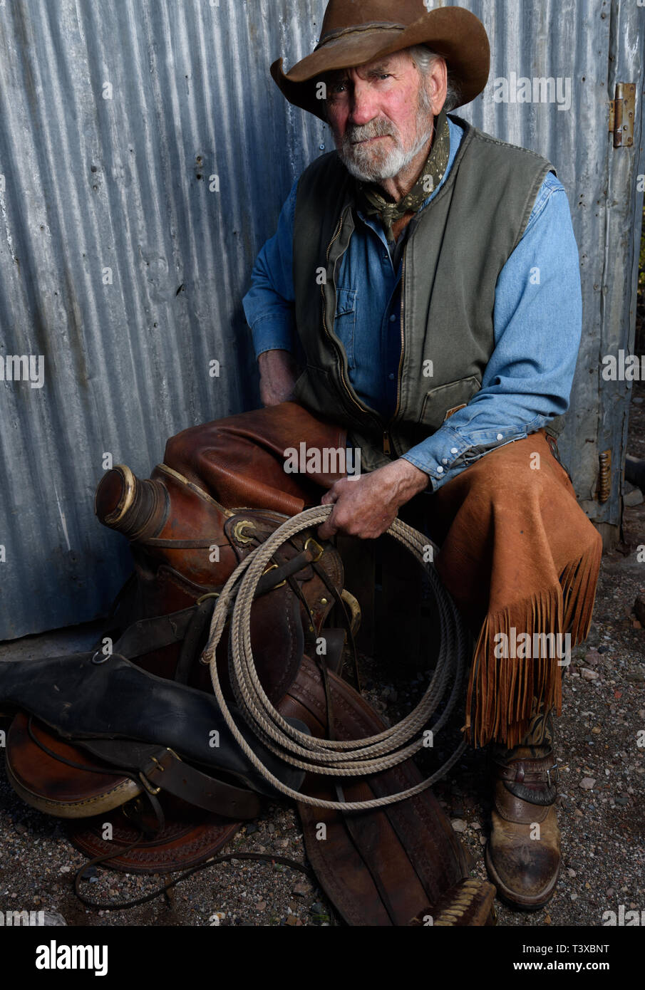 Old cowboy with gray beard wears leather hat, leather chaps, and holds a lasso and is sitting with a leather saddle. Stock Photo