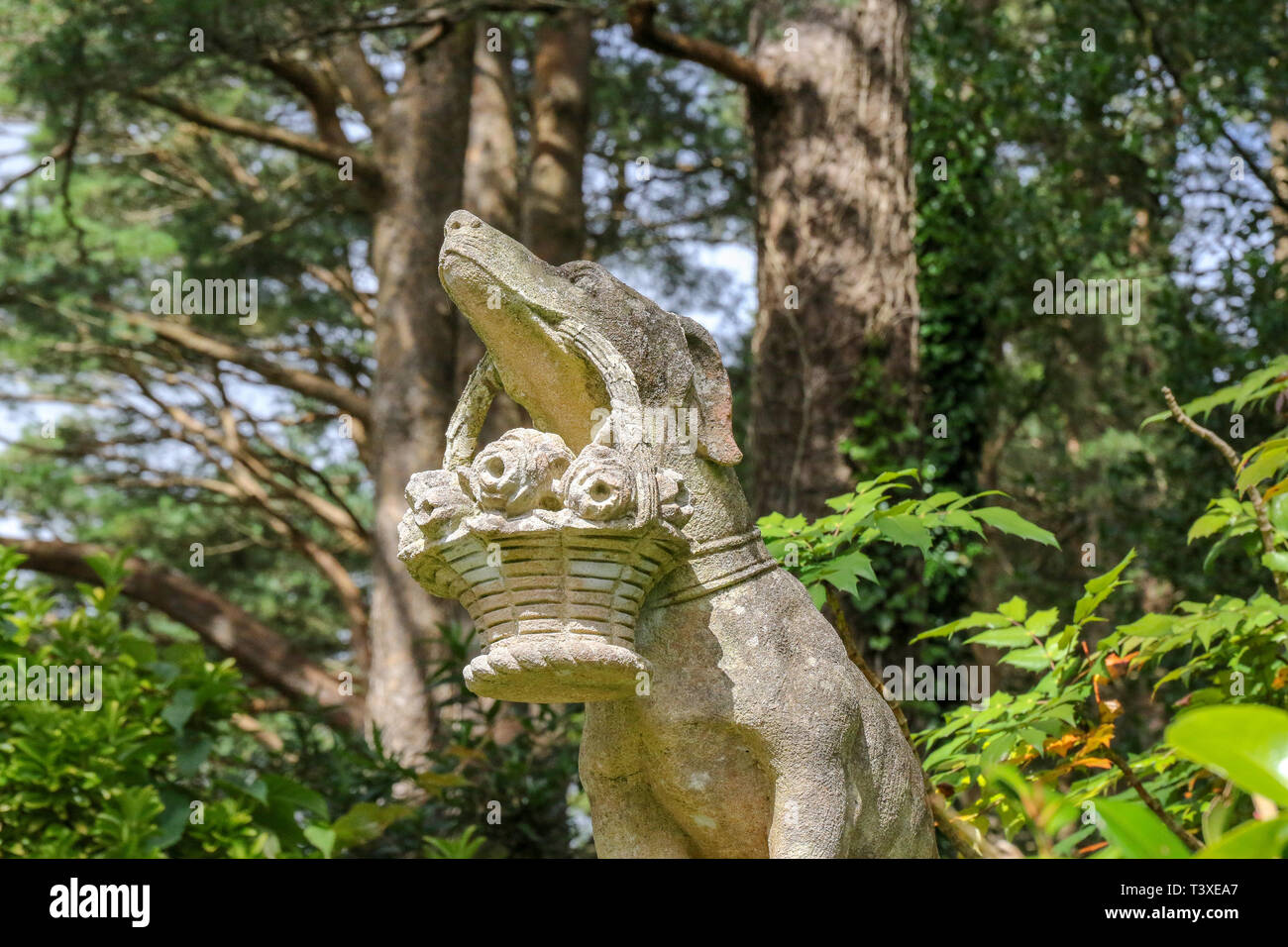 Statue of dog at the gardens in Glenveagh National Park, County Donegal