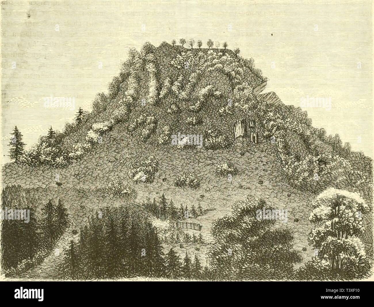 Archive image from page 398 of Die Natur (1852) Stock Photo