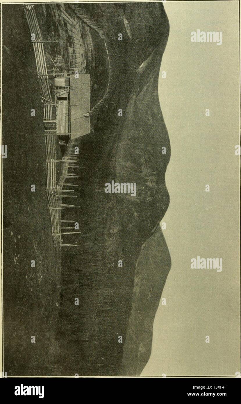 Archive image from page 405 of Die Pflanzendecke Österreich-Ungarns Auf Grund. Die Pflanzendecke Ãsterreich-Ungarns. Auf Grund fremder und eigener Forschungen geschildert  diepflanzendecke01haye Year: 1914  322 Die Karpathen. Was die Zusammensetzung der Hochgebirgsflora betrifft, so weicht diese in den Westkarpathen von der der Alpen nur wenig ab. Die Hohe Tatra weist nur sehr wenige Arten (z. B. Salix Lapponum, Delphiniuin oxysepalum, Saxifraga &gt;  e (C 0 CL p uq 3 m N Â» o 3 03  Ã¶ I/l â¢-i p: ' P 03 C CD Cl 03 tfi n C o  T1 ?r 3 â -'â e 0 & :;sÂ» Cd rr o e: C N aq jD 3  CD 3 CO 'TD T3 CO  Stock Photo