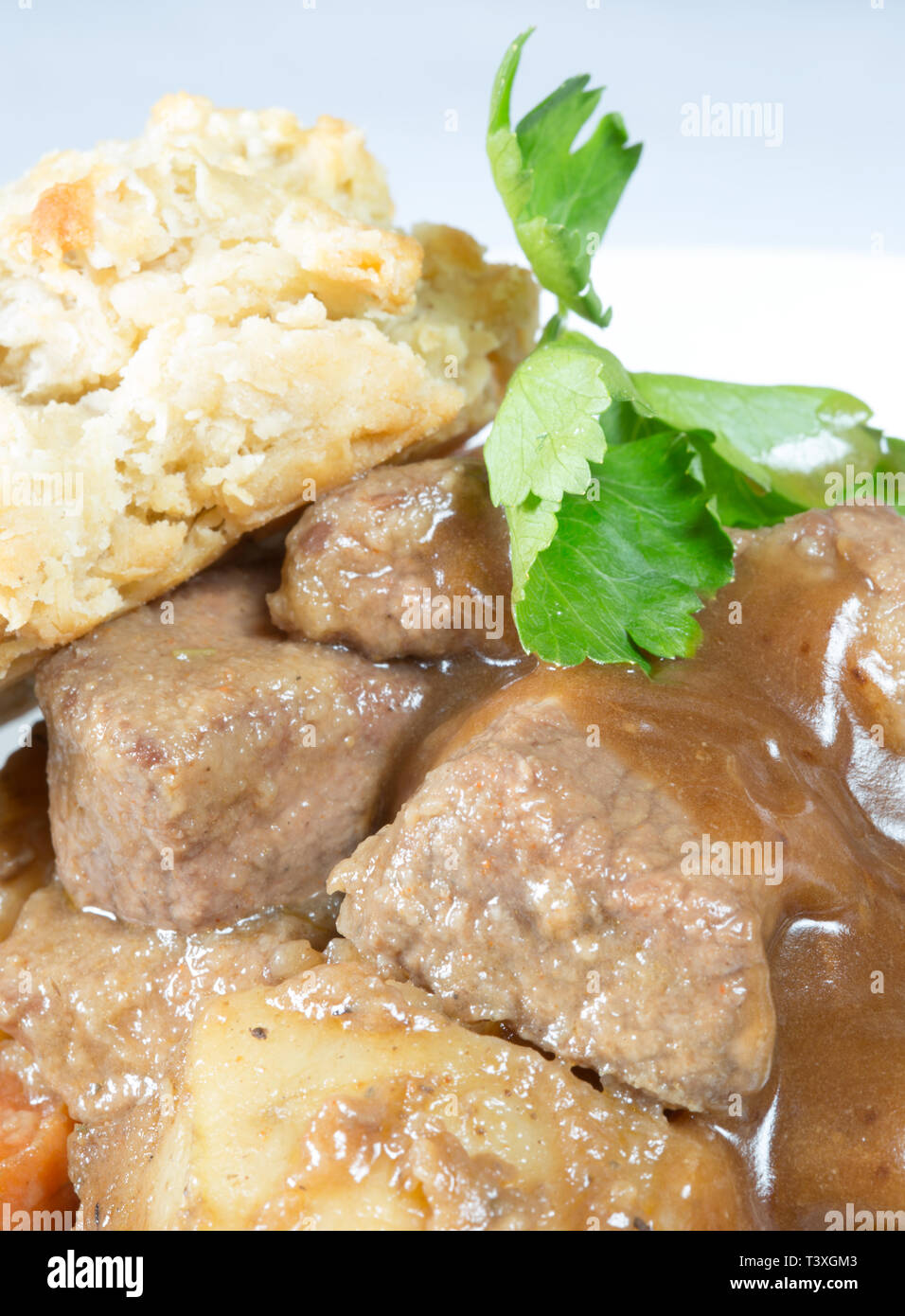 A classic plate of Beef stew served with a suet dumpling Stock Photo