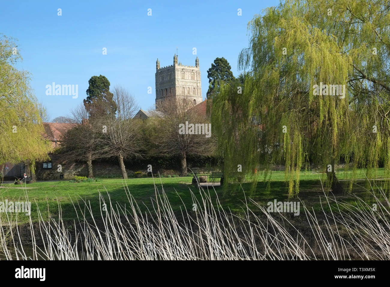 Tewkesbury Abbey tower - the largest Romanesque crossing tower in Europe. Seen from the banks of the River Avon. Tewkesbury, Gloucestershire, England Stock Photo