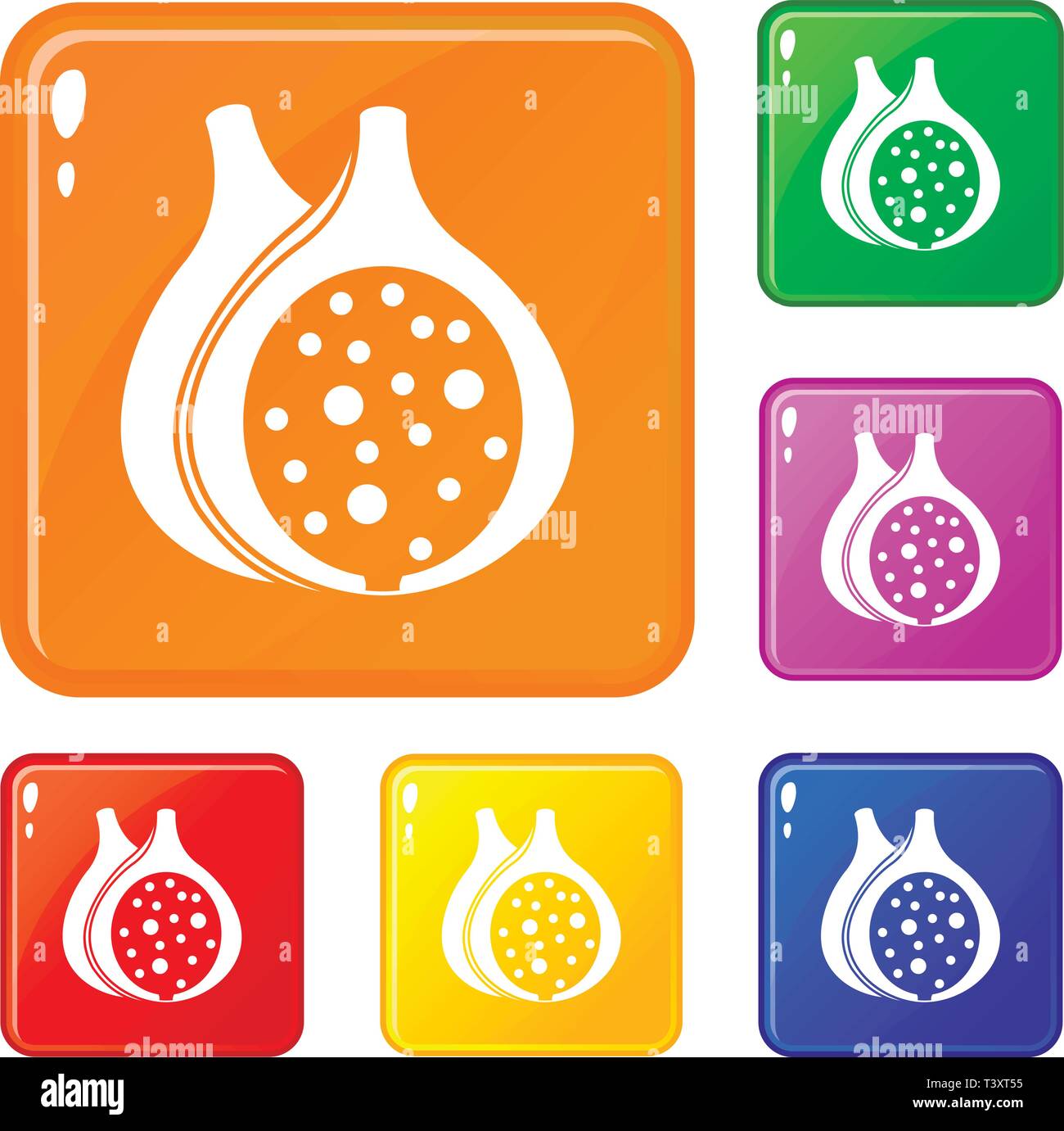 Fig fruit icons set vector color Stock Vector Image & Art - Alamy