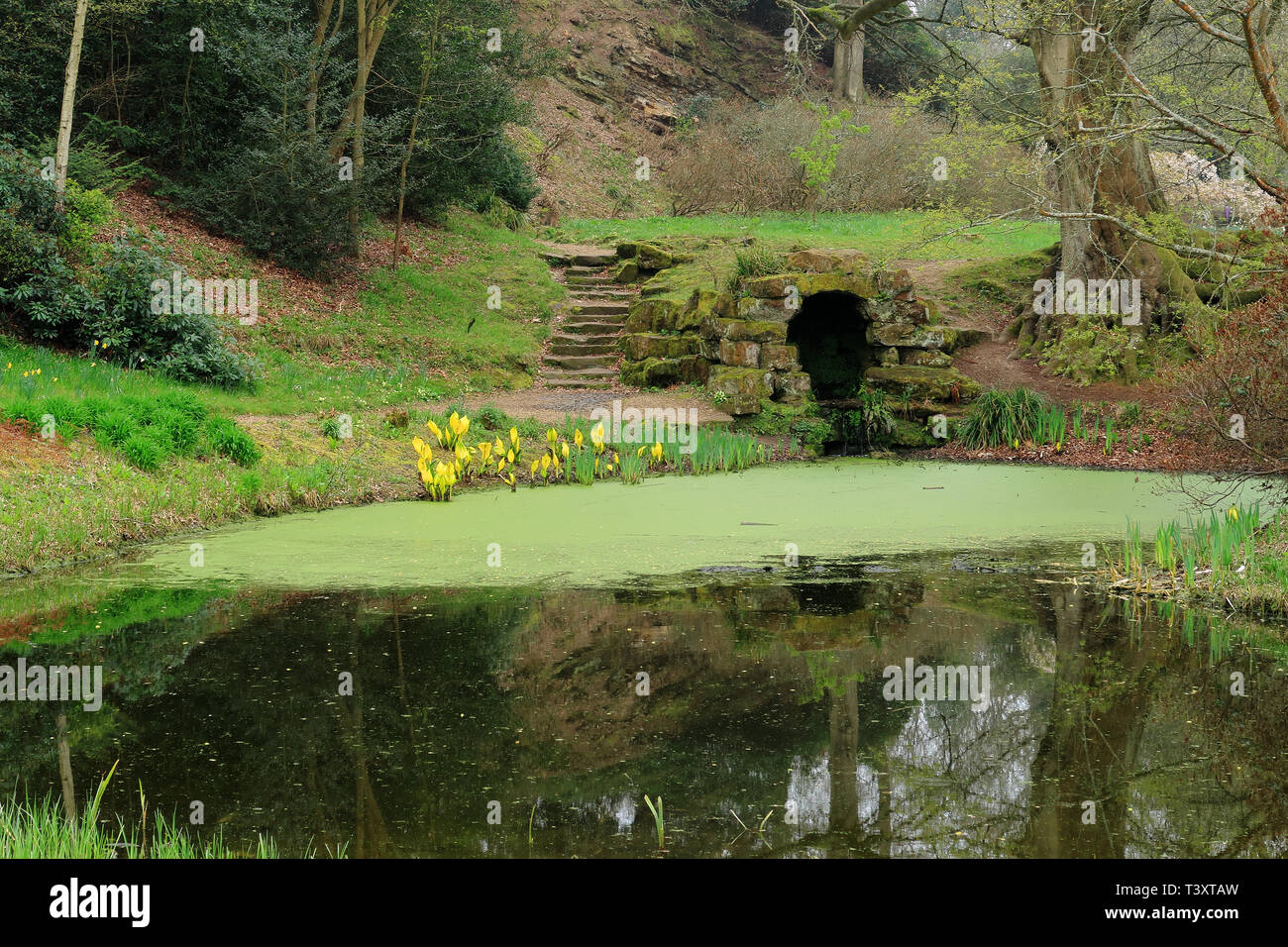 Footpath around the pond hi-res stock photography and images - Alamy