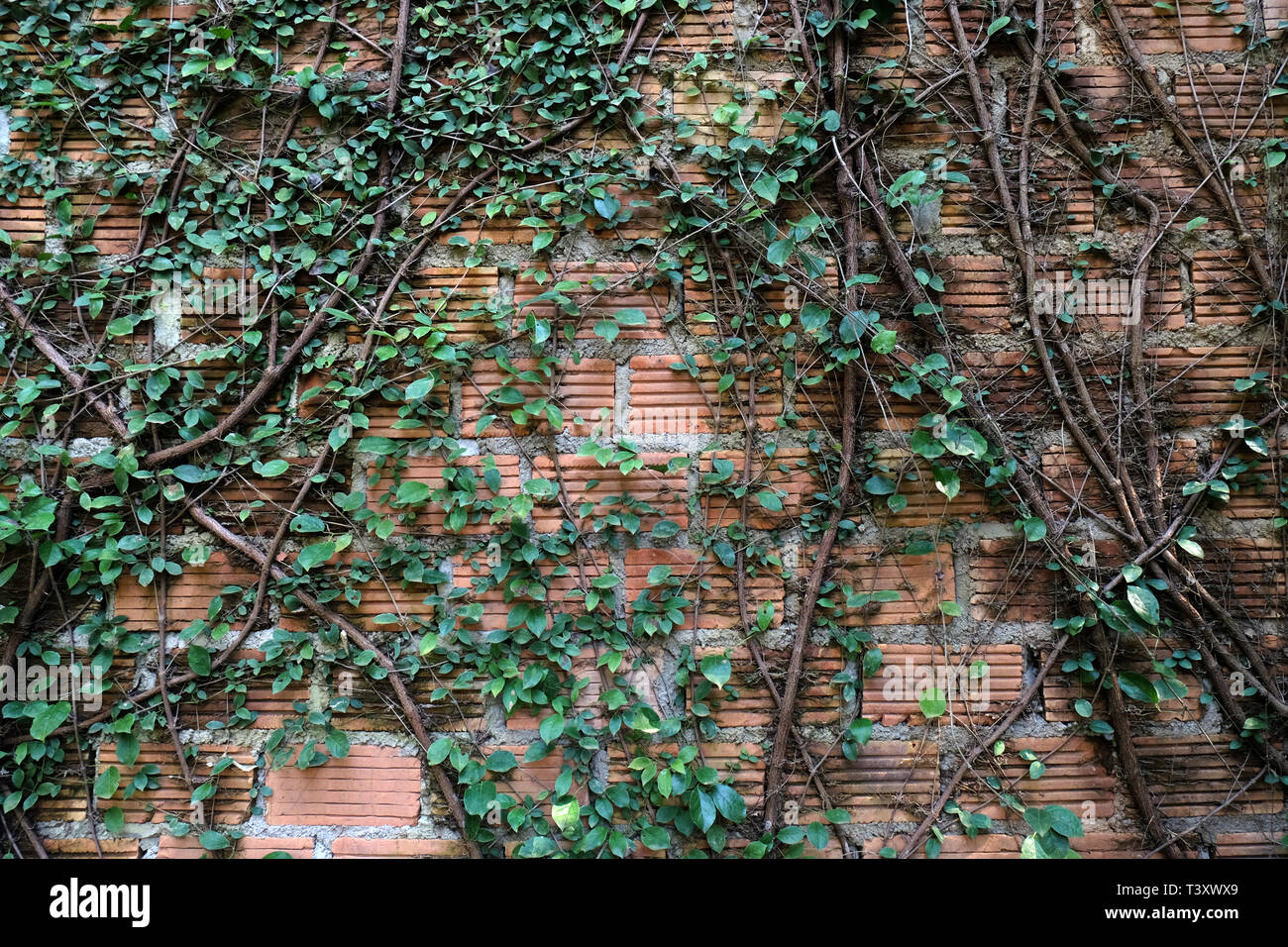 Background of old vintage dirty brick wall. wall with space Stock Photo ...