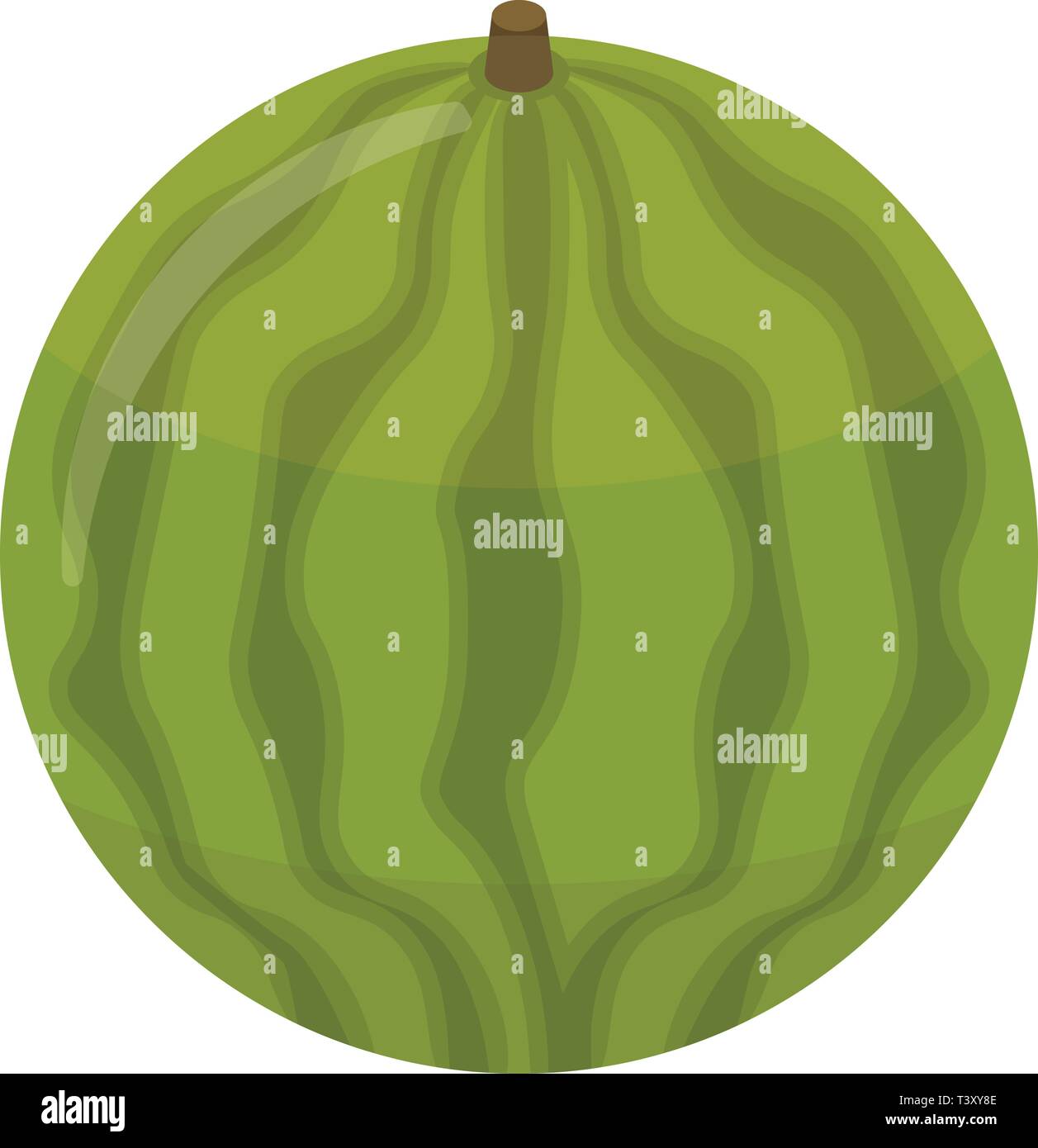 Whole watermelon icon, isometric style Stock Vector