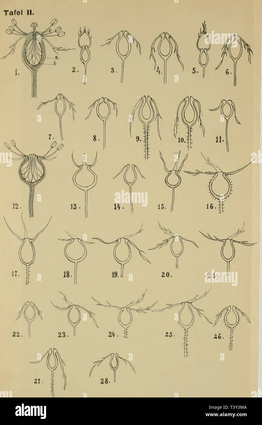 1910 Era Stock Photos 1910 Era Stock Images Page 3 Alamy