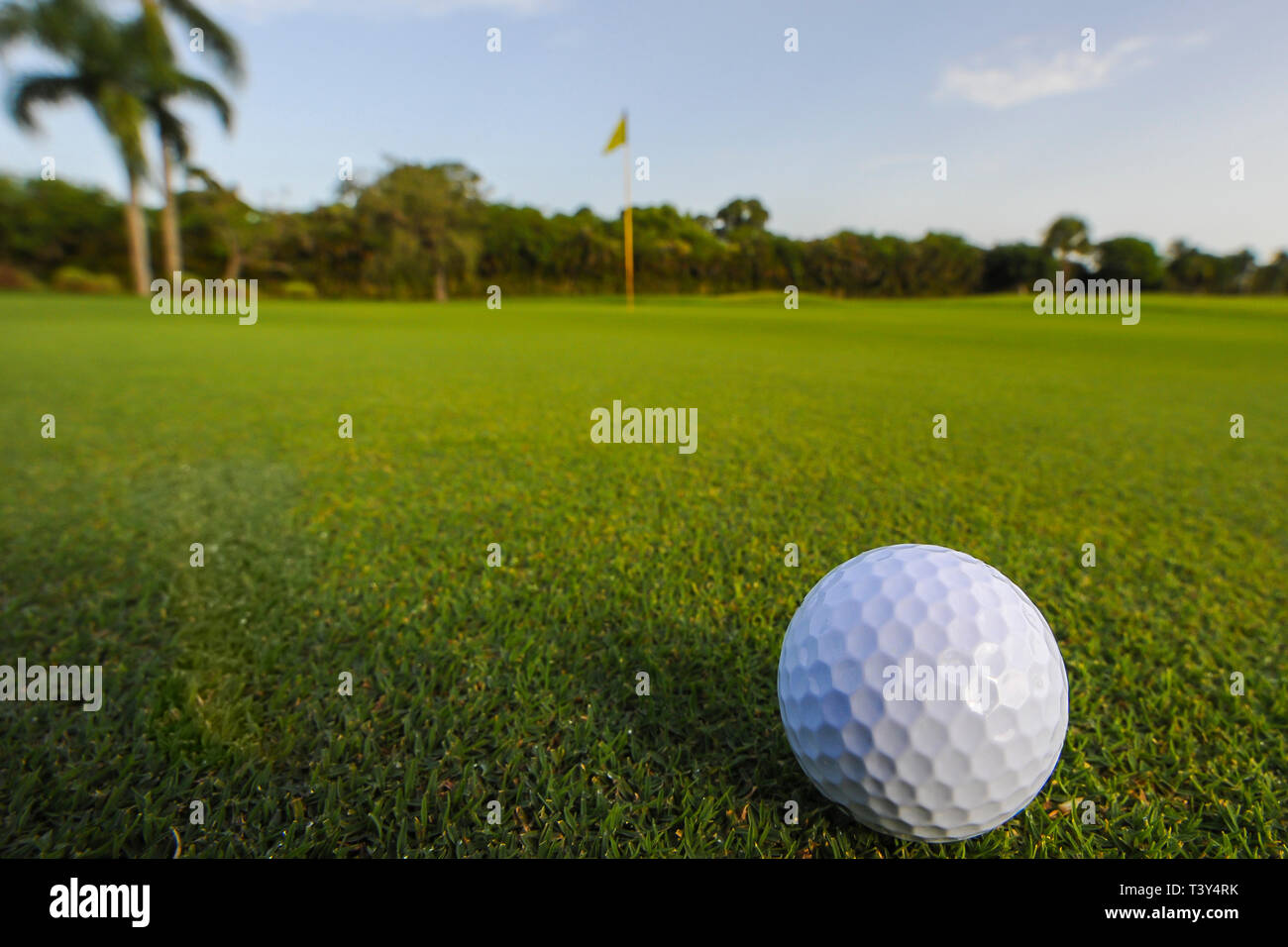 Golf ball rolling on putting green Stock Photo Alamy