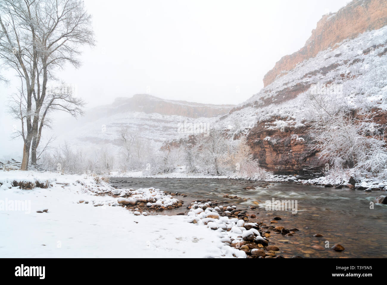 mountain river in a heavy April snowstorm - Poudre River at Belvue near Fort Collins, Colorado Stock Photo