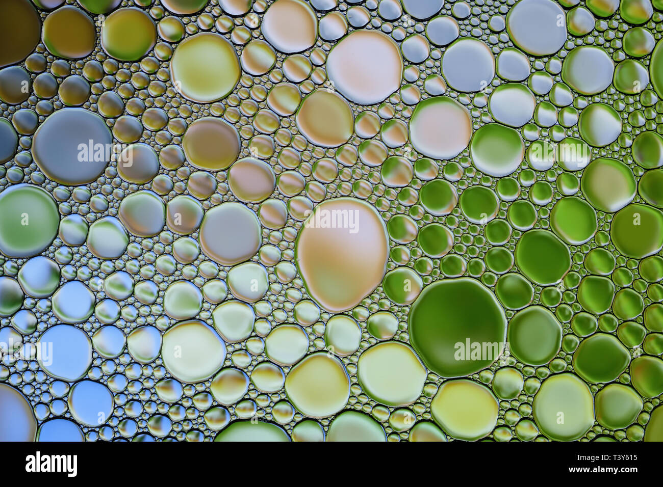 Abstract multicolor water oil bubbles  texture. Colorful background. Stock Photo