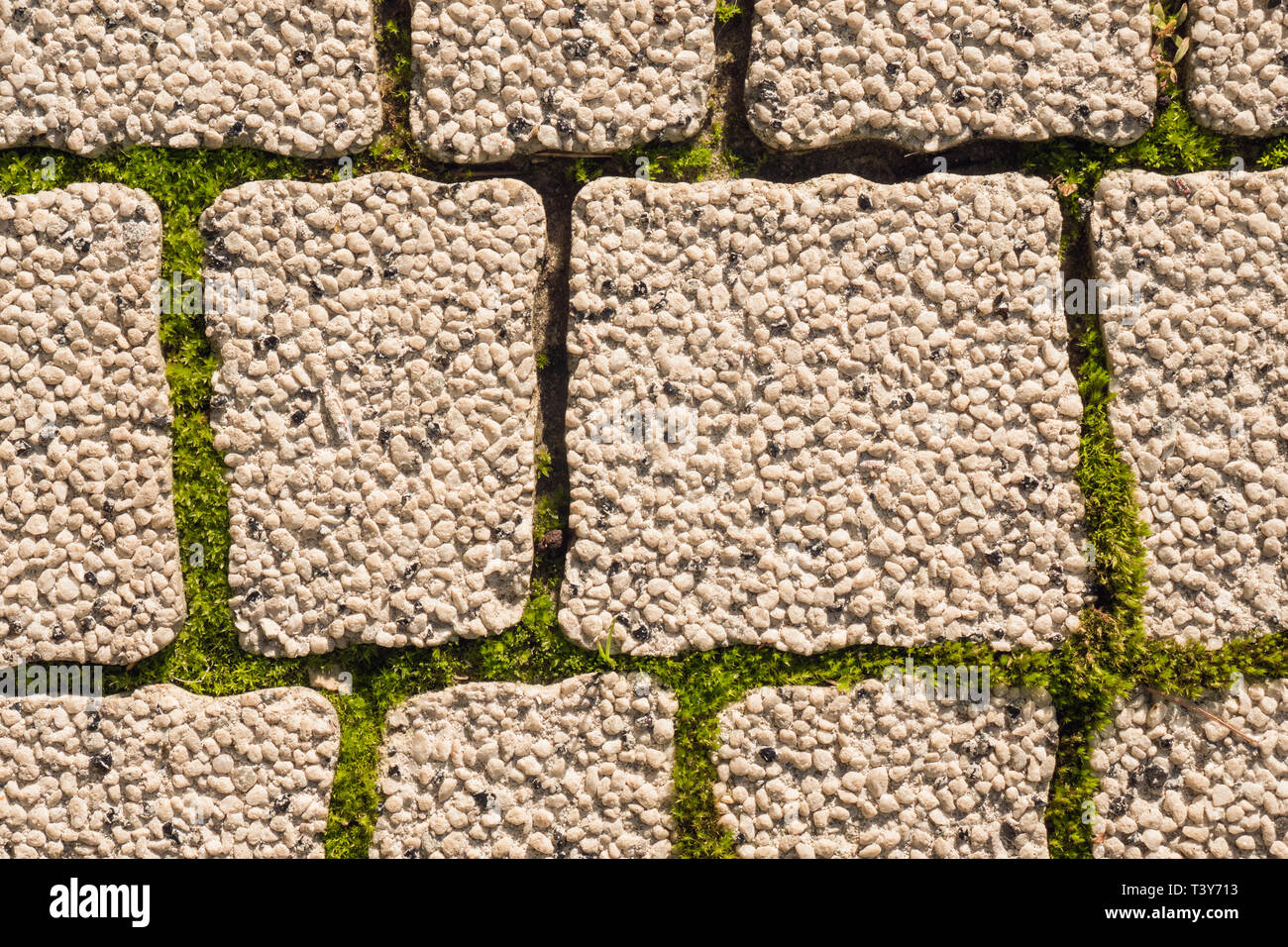 Urban road surface texture background. Alternative of asphalt. Road covering. Cobblestone with grass on joints. Cobblestone background. Stock Photo