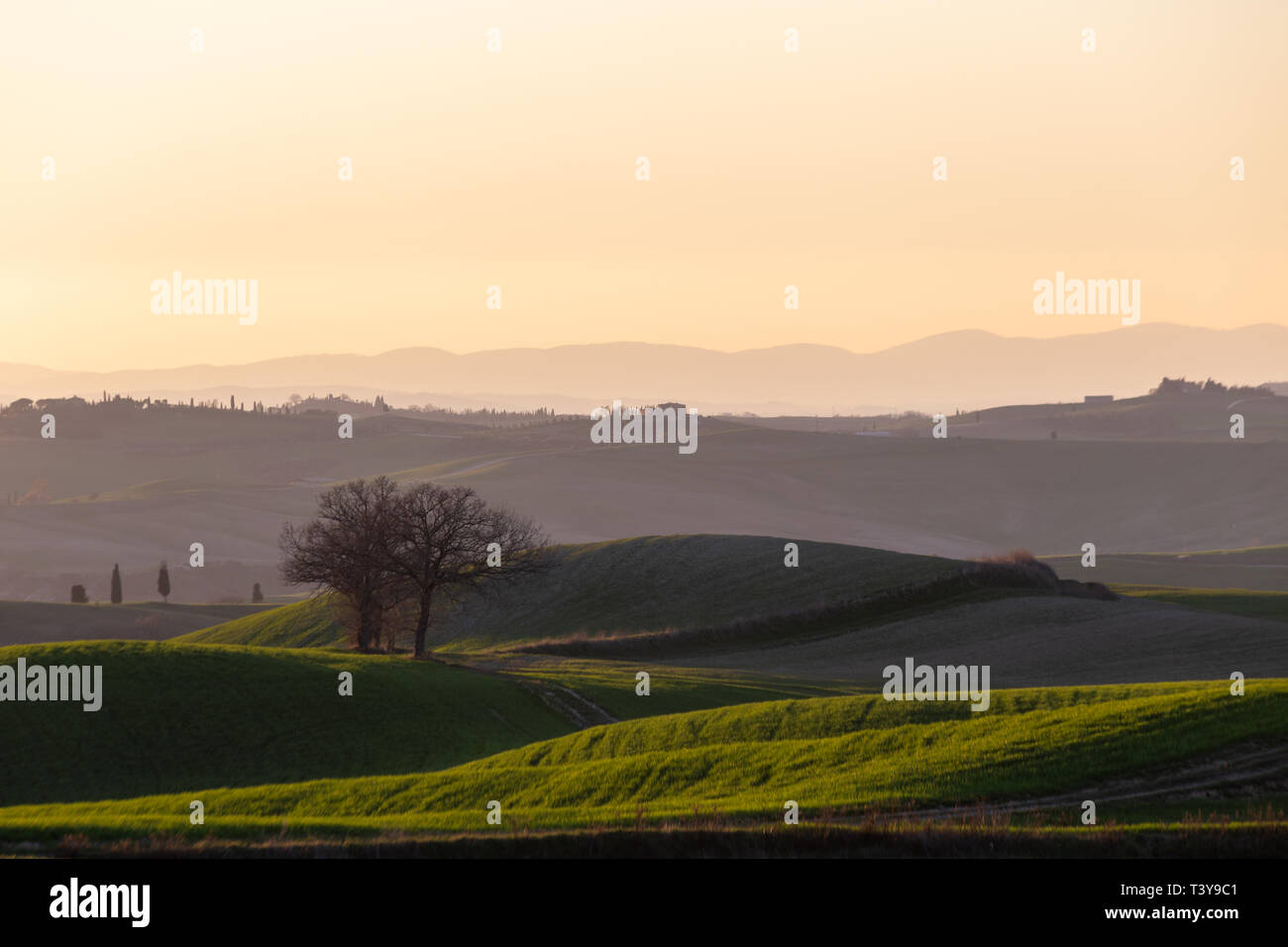 Beautiful view of Tuscany landscape hill at sunset, with mist and warm colors Stock Photo