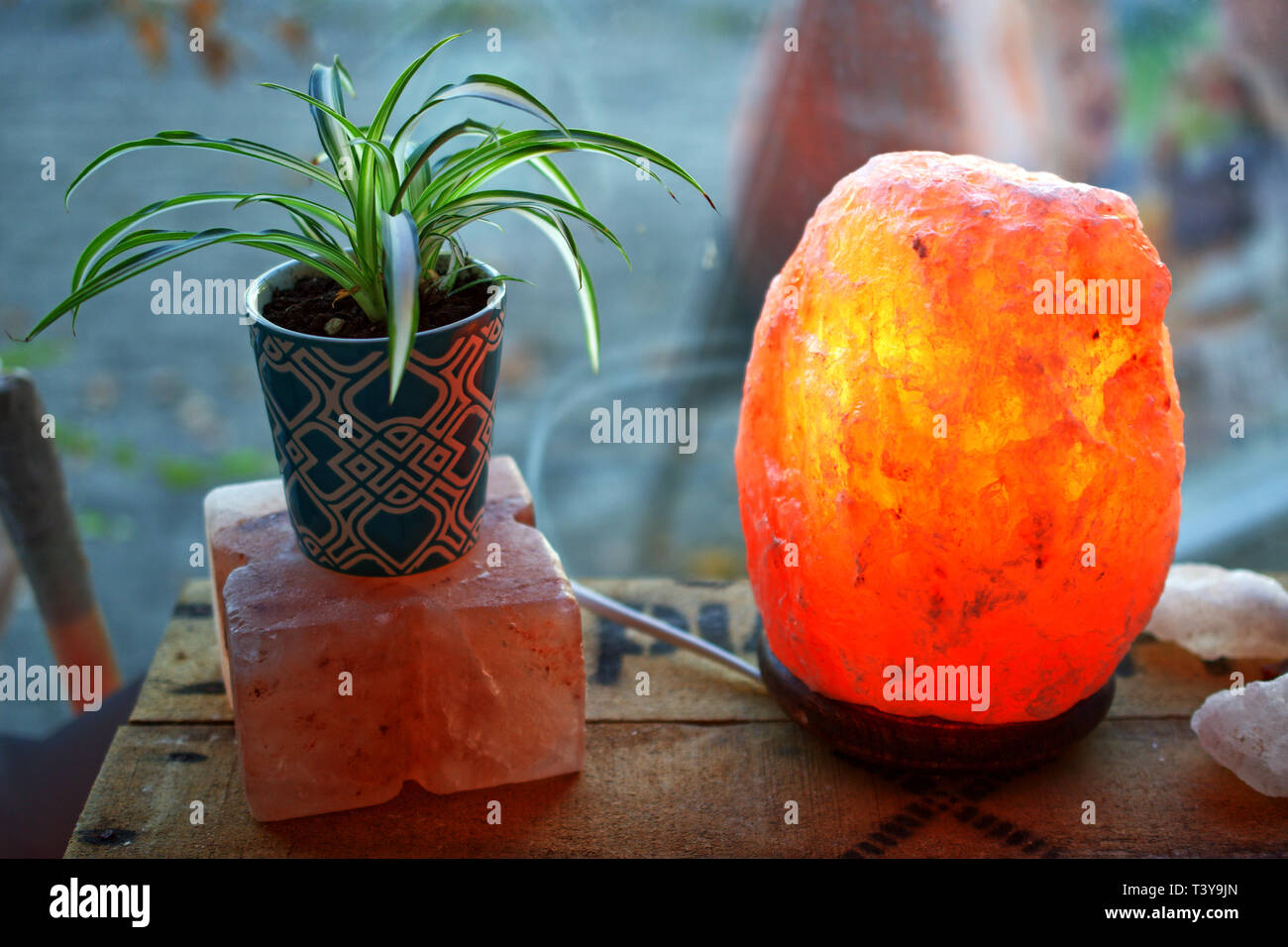 Plant and a saltlamp on a wooden box infront of a window closeup macro Stock Photo