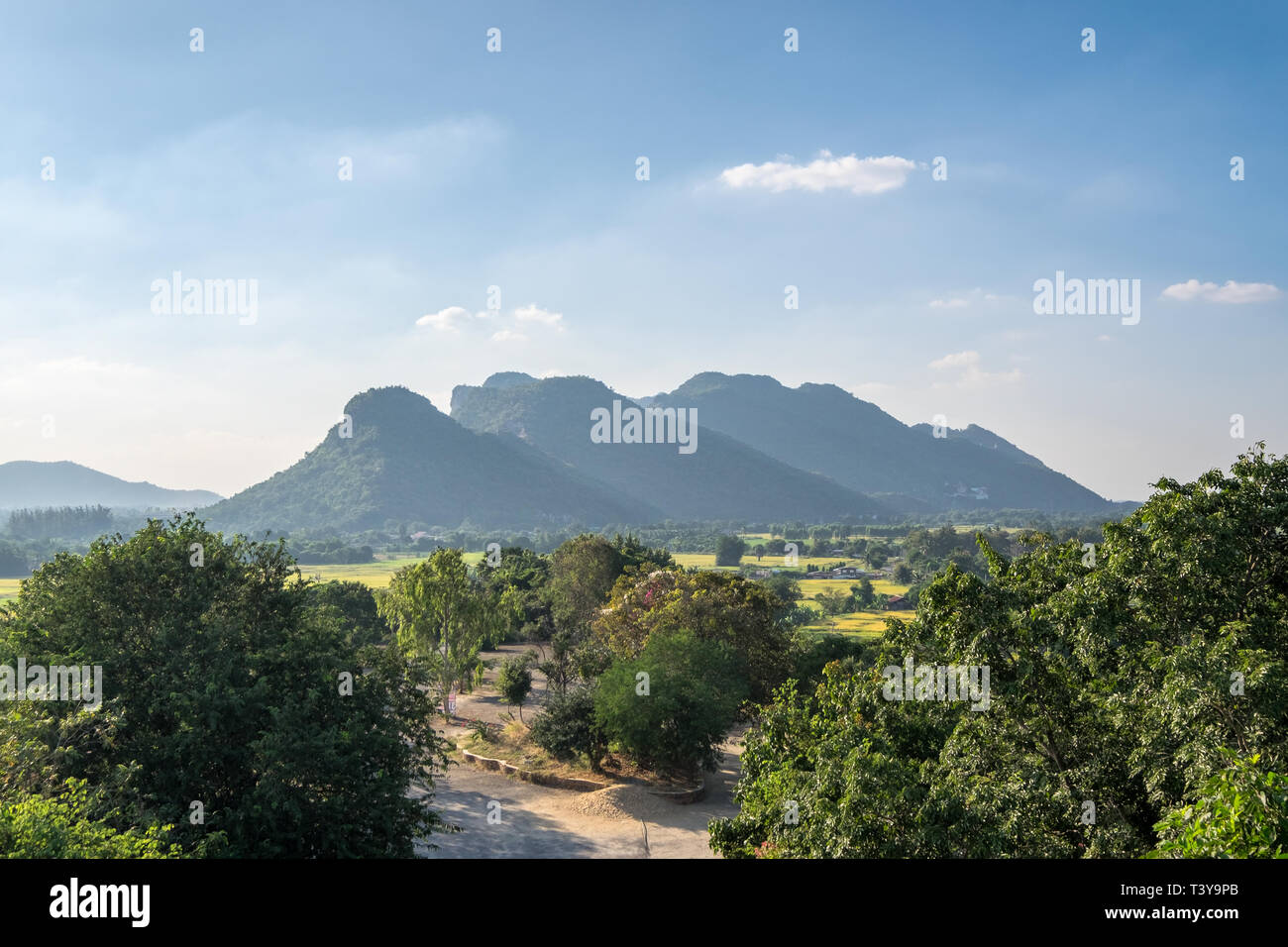 Green field sunny hi-res stock photography and images - Alamy