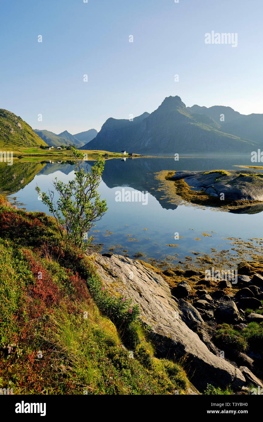 The Rugged Summer Coast And Mountain Landscape Of Flakstad ya Island In 