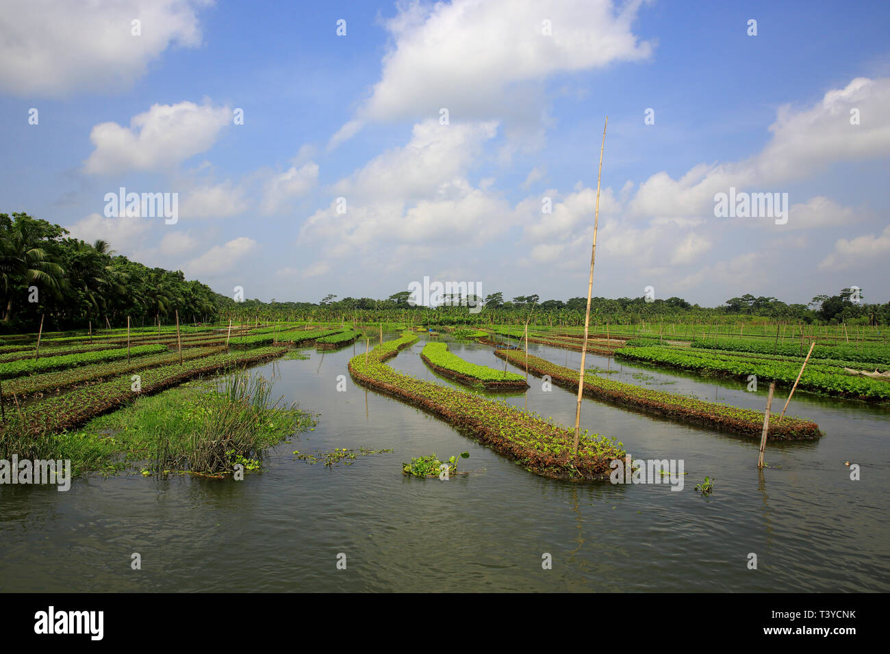 Globally important agricultural heritage systems hires stock