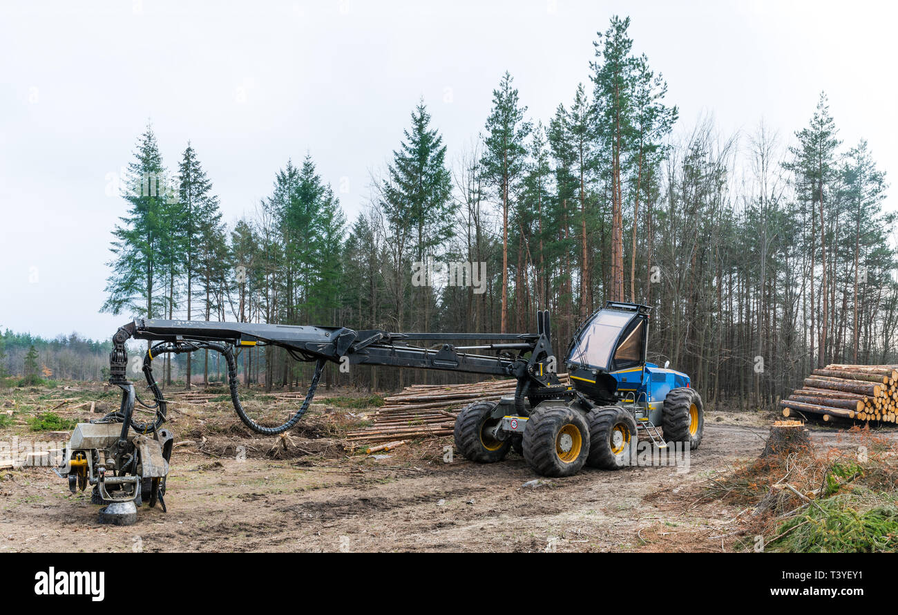 Forestry vehicle. Wheeled harvester. Damaged forest. Ecology. Logging machine. Felling head, chainsaw. Log heap. Outbreak of bark beetle. Eco calamity. Stock Photo
