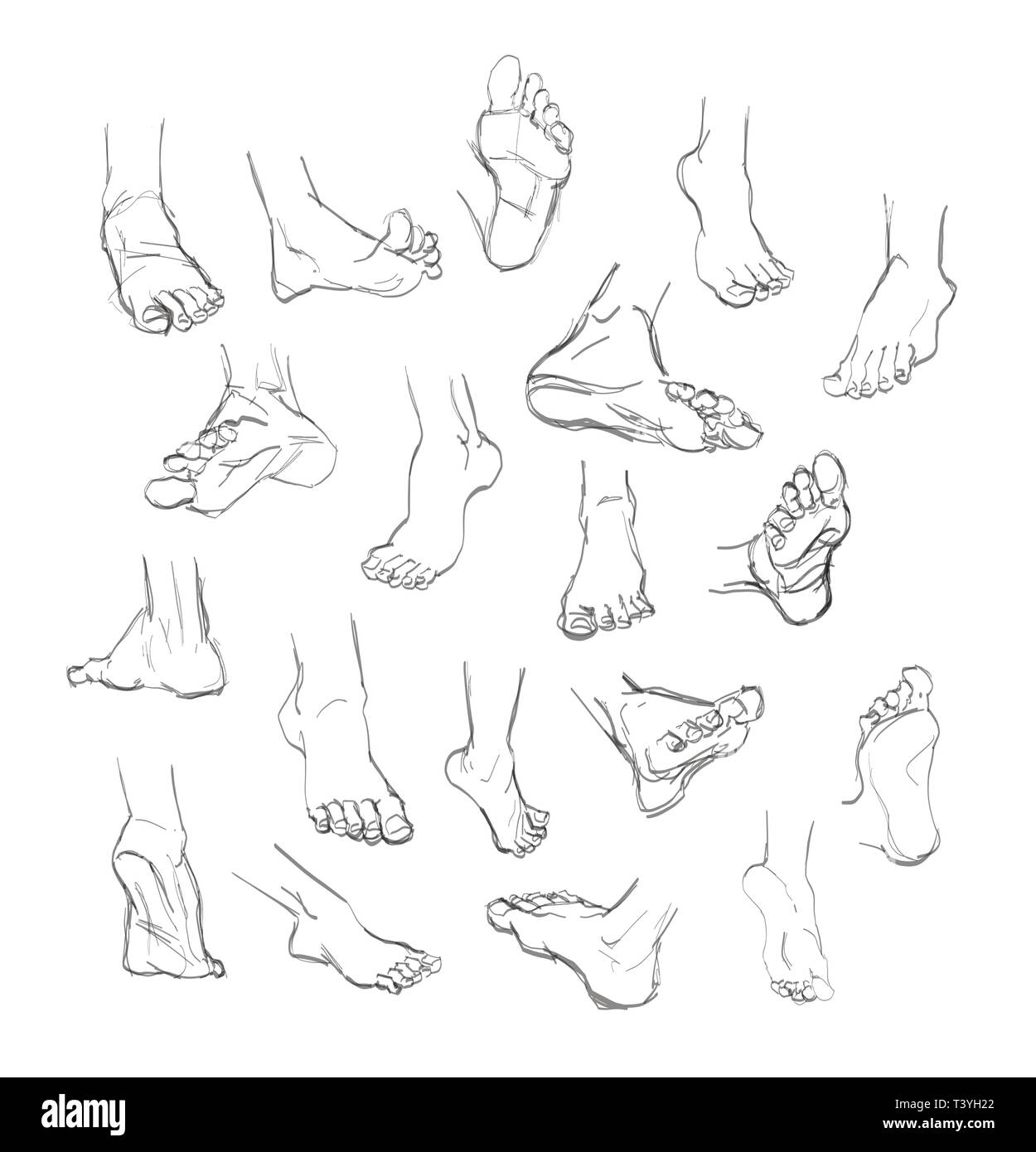 Foot doodle. hand drawn sketch. illustration Stock Vector Image & Art -  Alamy