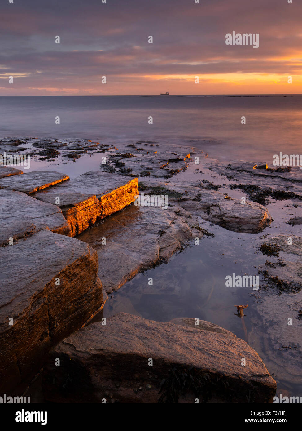 Old hartley northumberland hi-res stock photography and images - Alamy