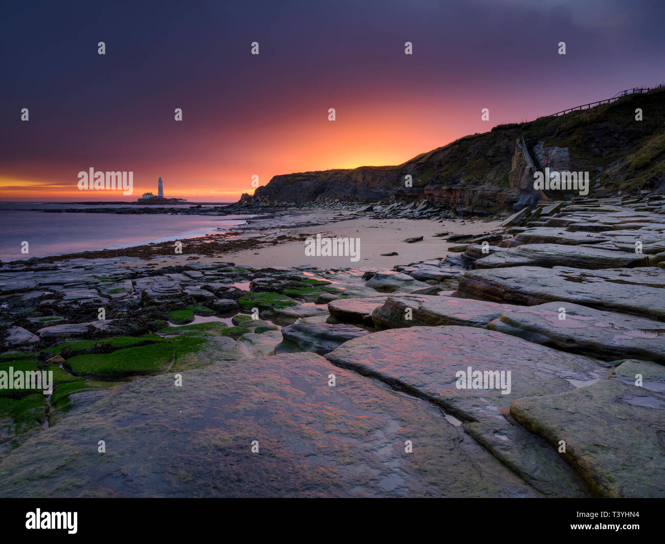 England, Northumberland, Old Hartley. Old Hartley Bay at dawn, looking towards St Mary's Lighthouse. Stock Photo