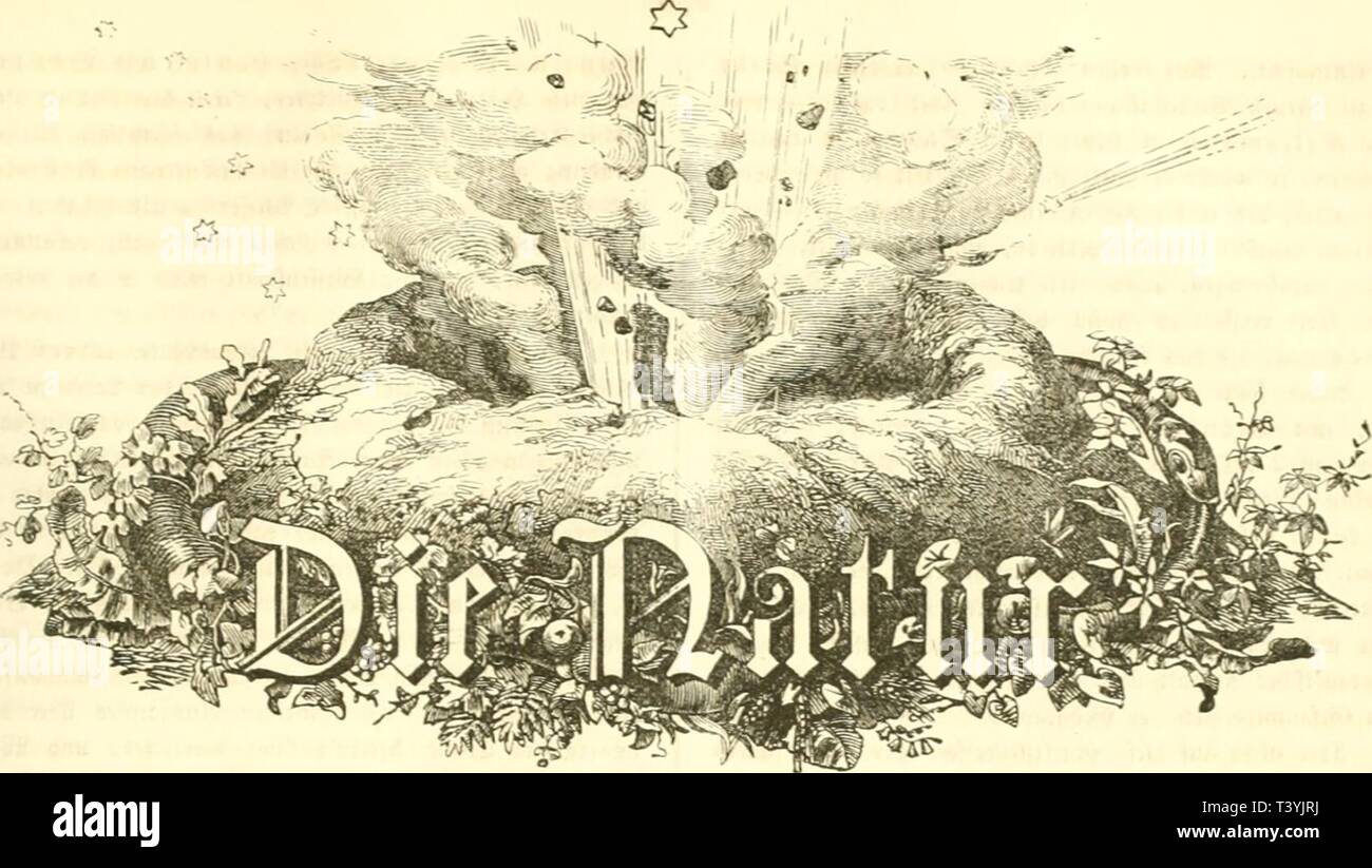 Archive image from page 346 of Die Natur (1852) Stock Photo