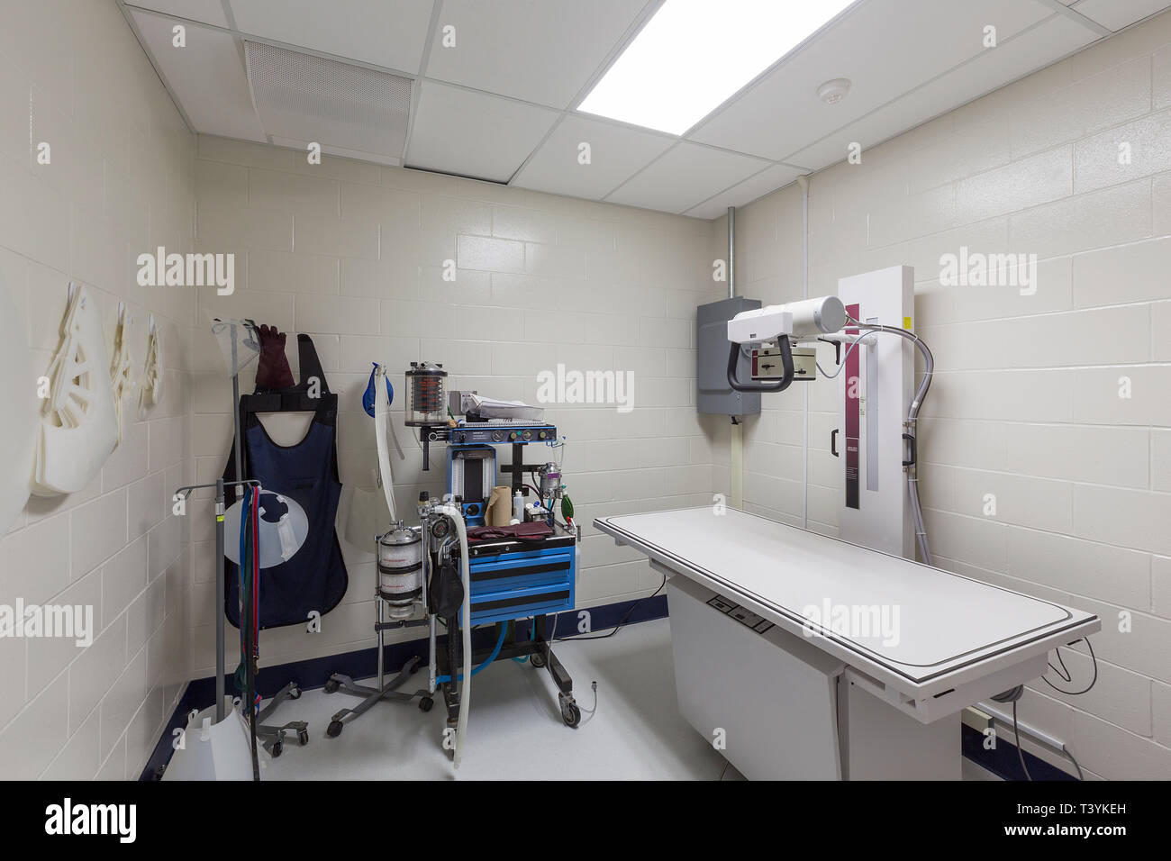 x ray animal hospital