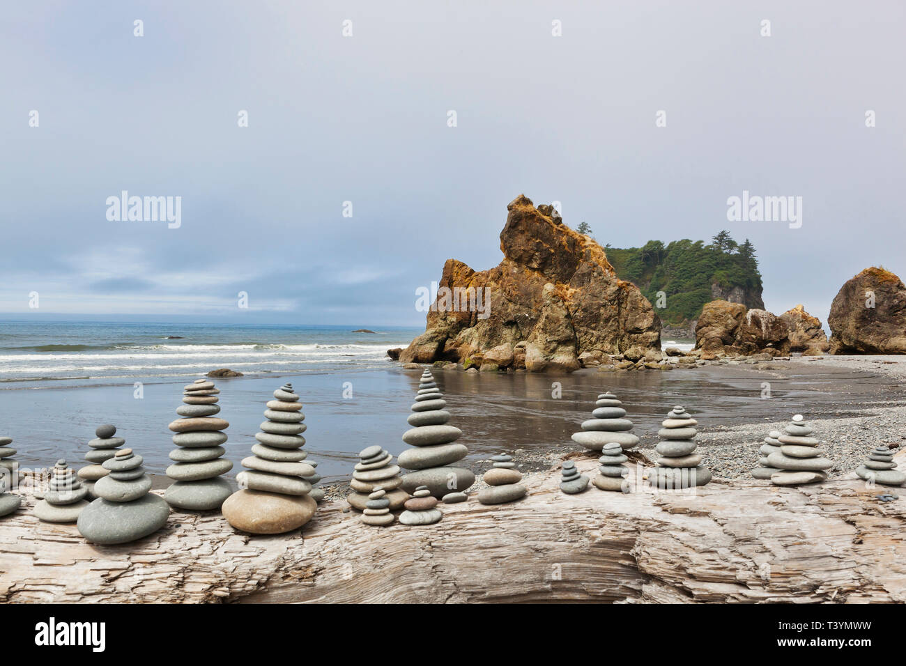 North kalaloch beach hi-res stock photography and images - Alamy