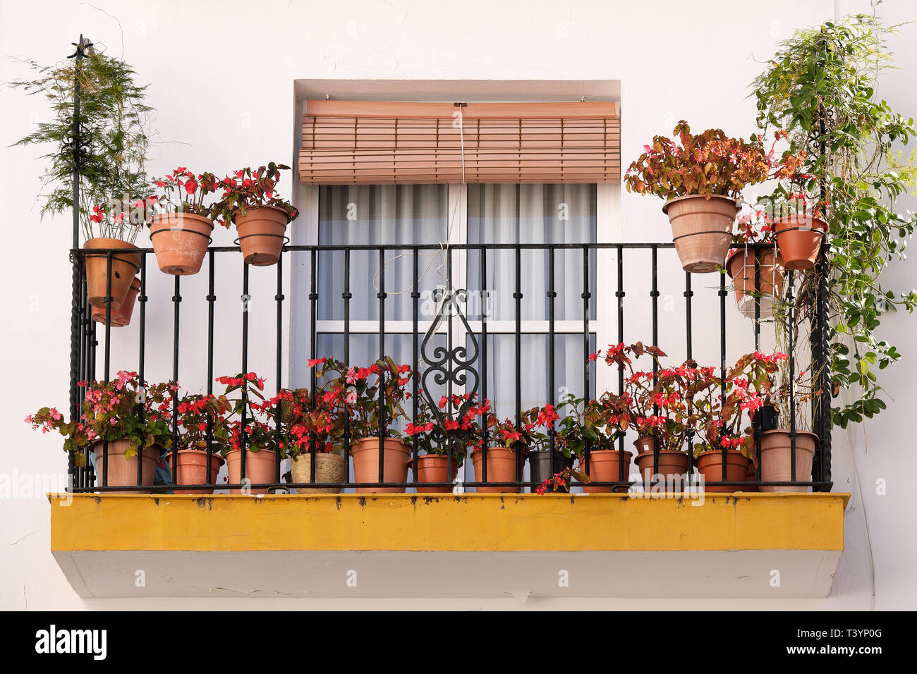 Andalucia Spain whitewashed village flower pot balcony terrace display Stock Photo