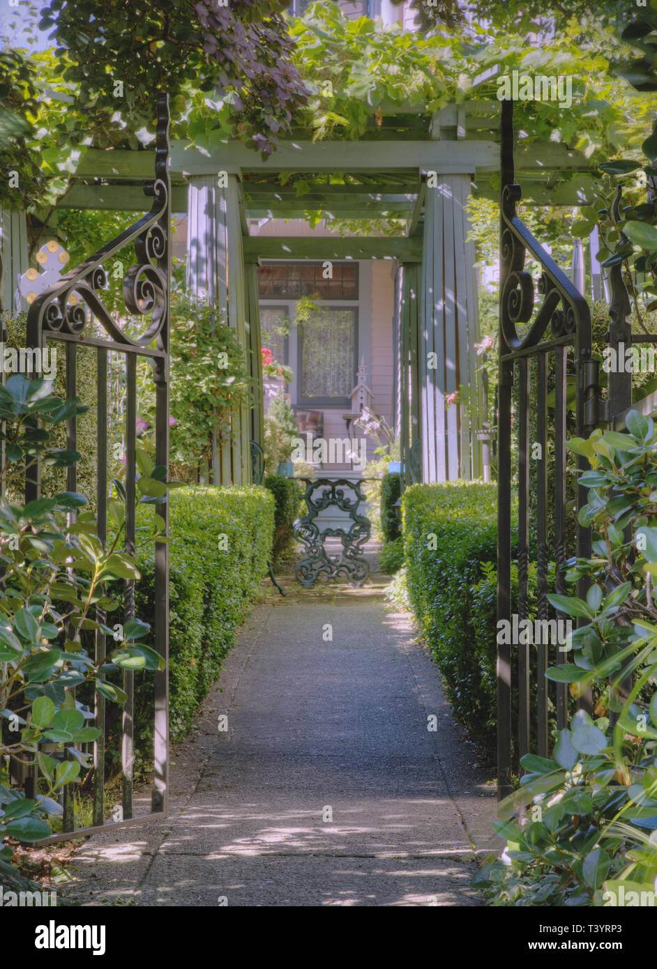 Hedges and gate in garden Stock Photo