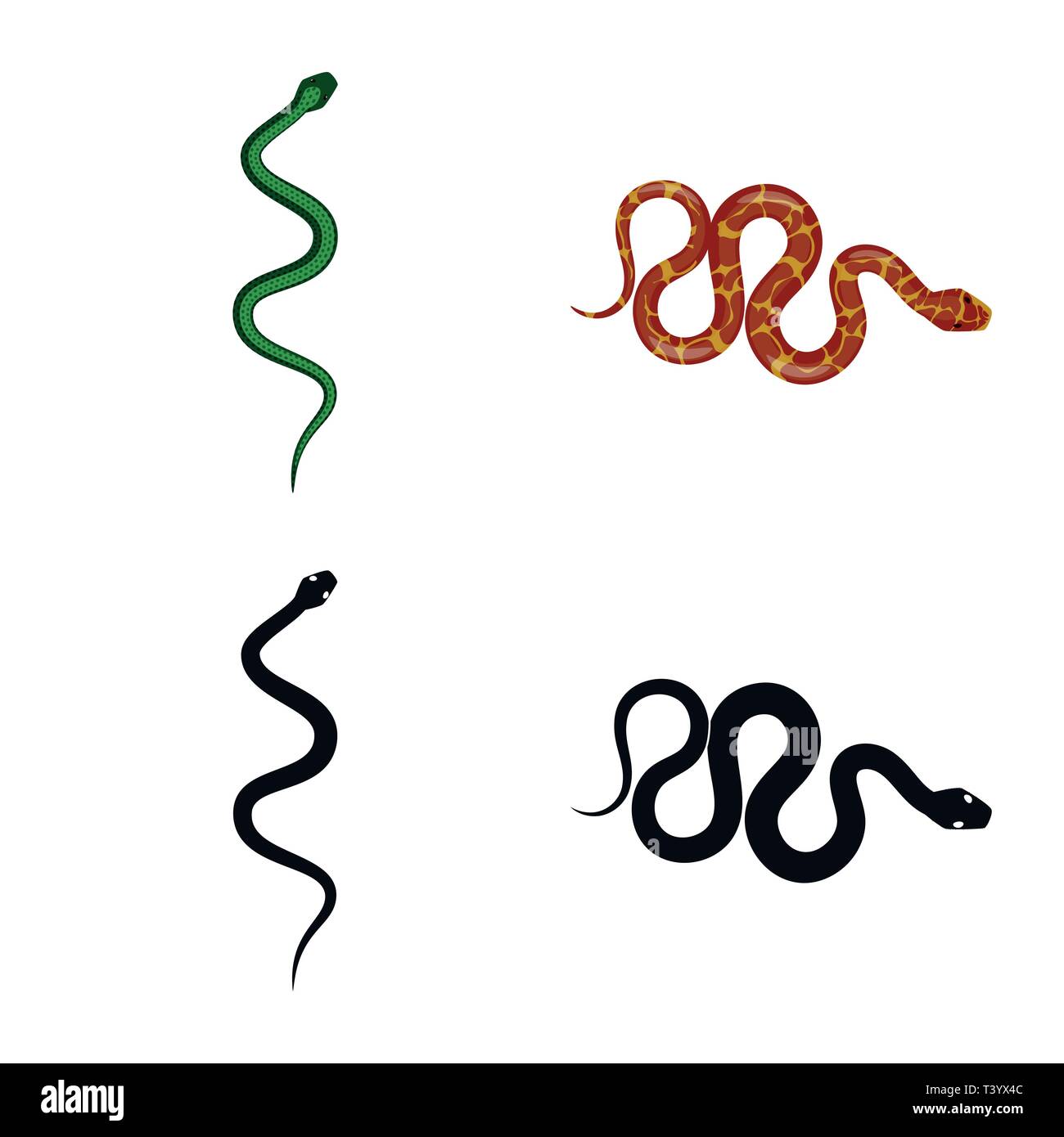 viper,snake,tail,wild,spiral,tropics,green,forest,brown,jump,death,fear ...