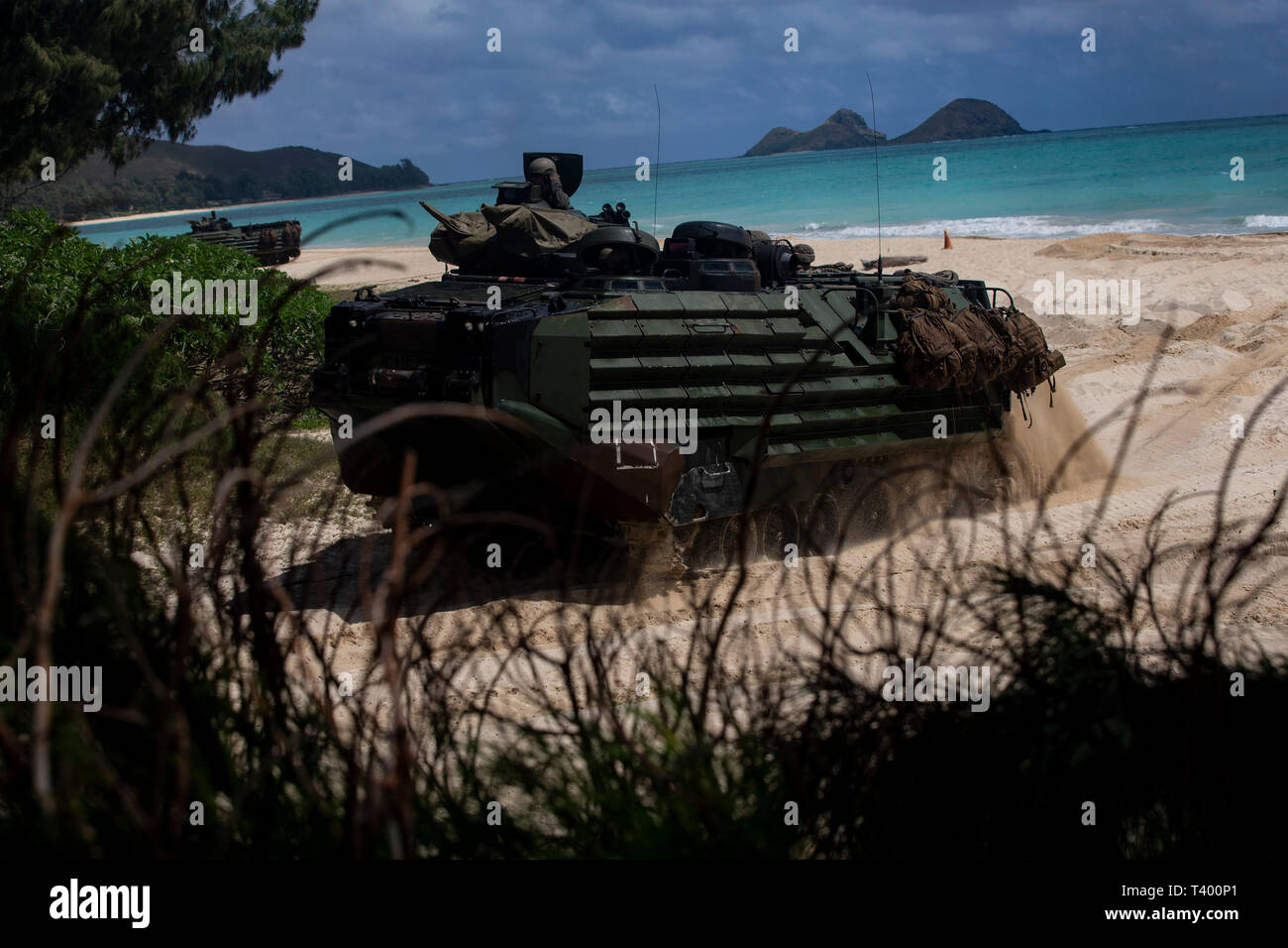 A U.S. Marine Corps amphibious assault vehicle assigned to Combat Assault Company, 3d Marine Regiment, travels through beaches during an amphibious assault exercise at Marine Corps Training Area Bellows, Marine Corps Base Hawaii, Apr. 9, 2019. The unit conducted a simulated beach assault to improve their lethality and cooperation, as a mechanized unit and force in readiness. (U.S. Marine Corps photo by Sgt. Alex Kouns) Stock Photo