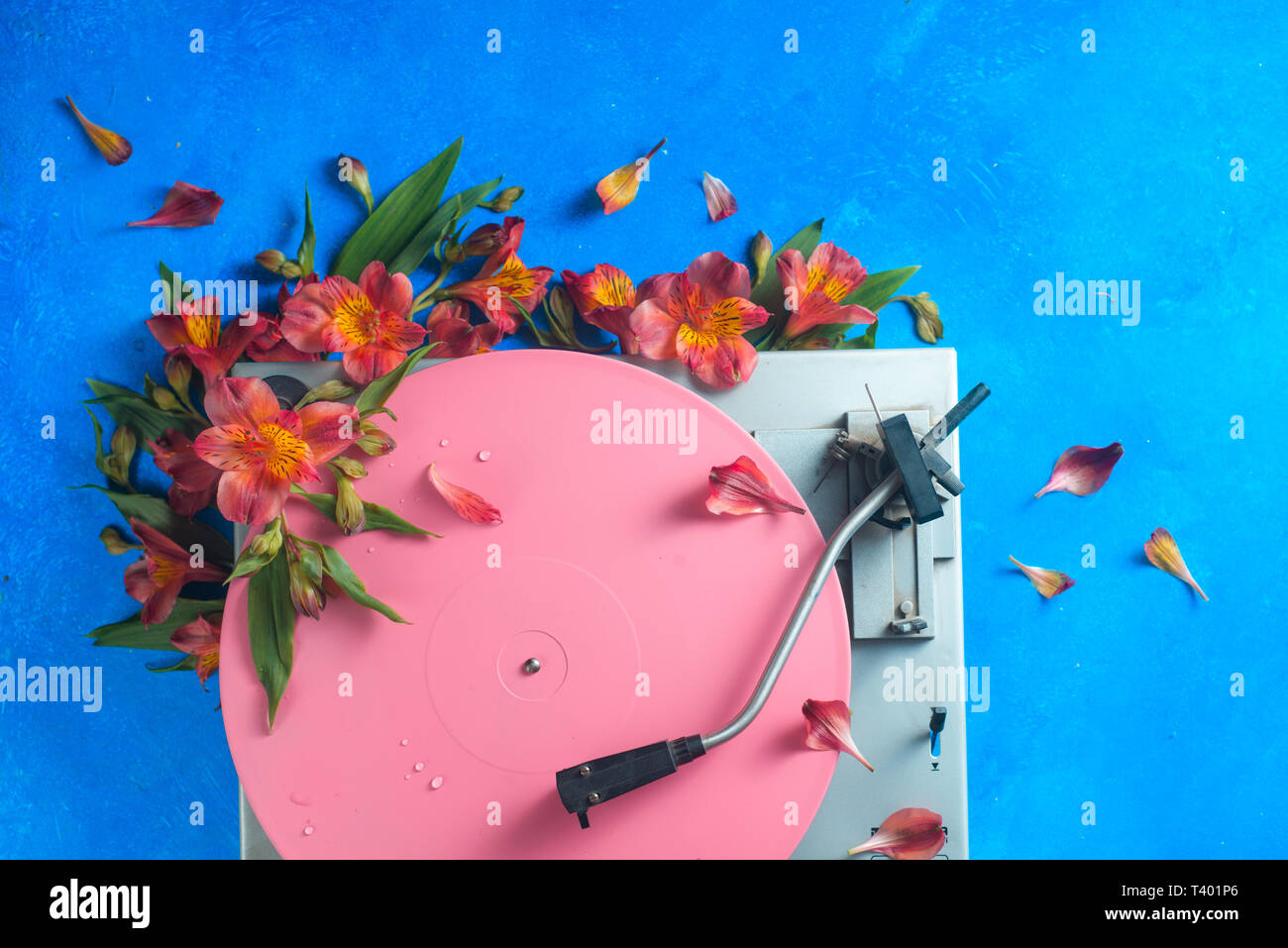 Pink color block flat lay with colorful vinyl record player and flowers. Spring music still life concept on a blue background with copy space Stock Photo