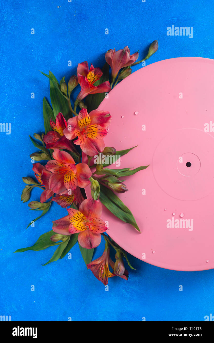 Pink vinyl record with flowers. Color blocking flat lay concept. Musical floral still life on a blue background with copy space Stock Photo