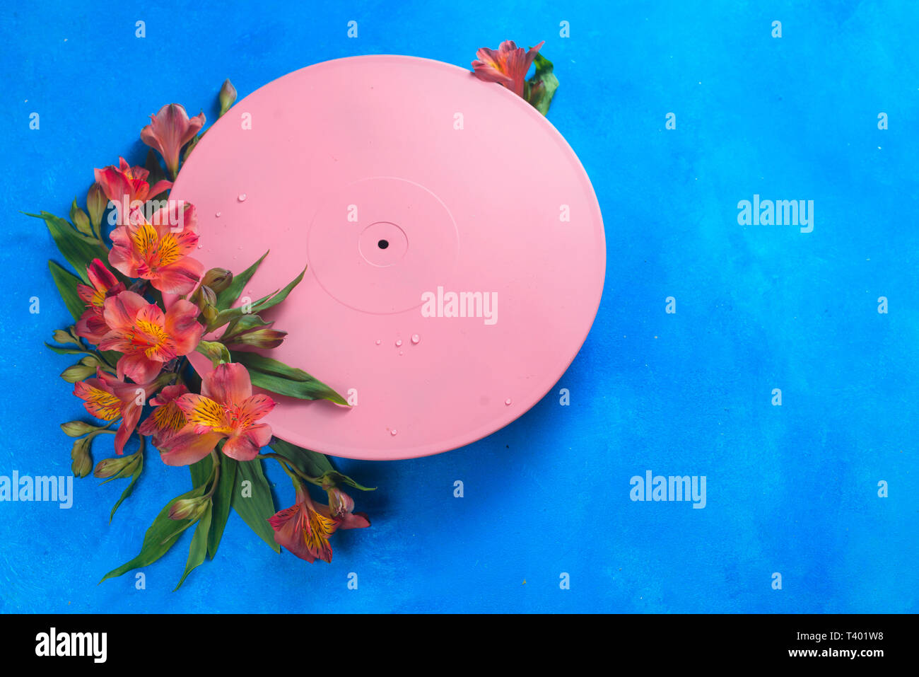 Pink vinyl record with flowers. Color blocking flat lay concept. Musical floral still life on a blue background with copy space Stock Photo