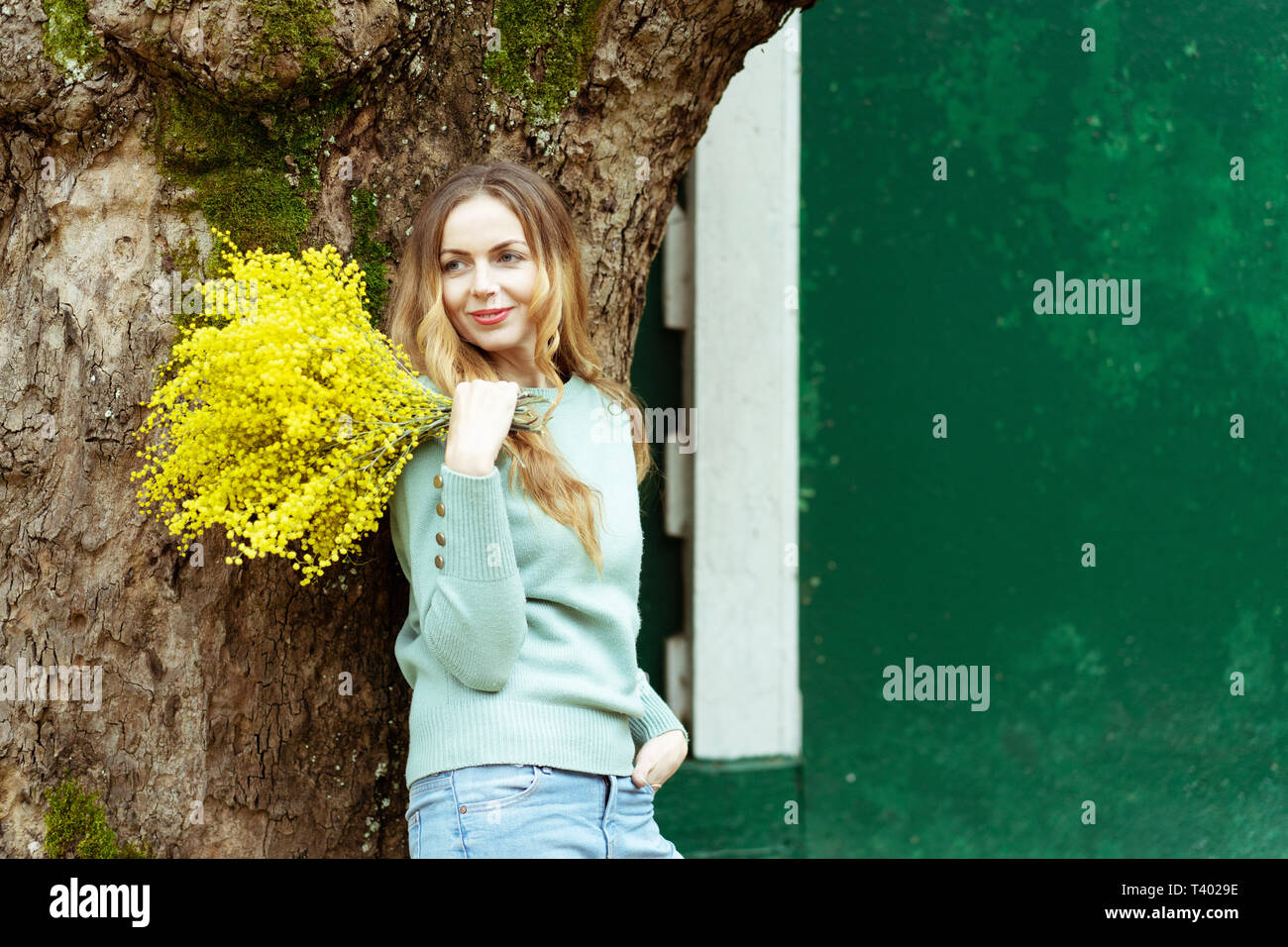 A young stylish woman is smiling, holding a present in her hand a bouquet of fresh mimosa flowers, March 8, Mother's Day. on a bright green background Stock Photo