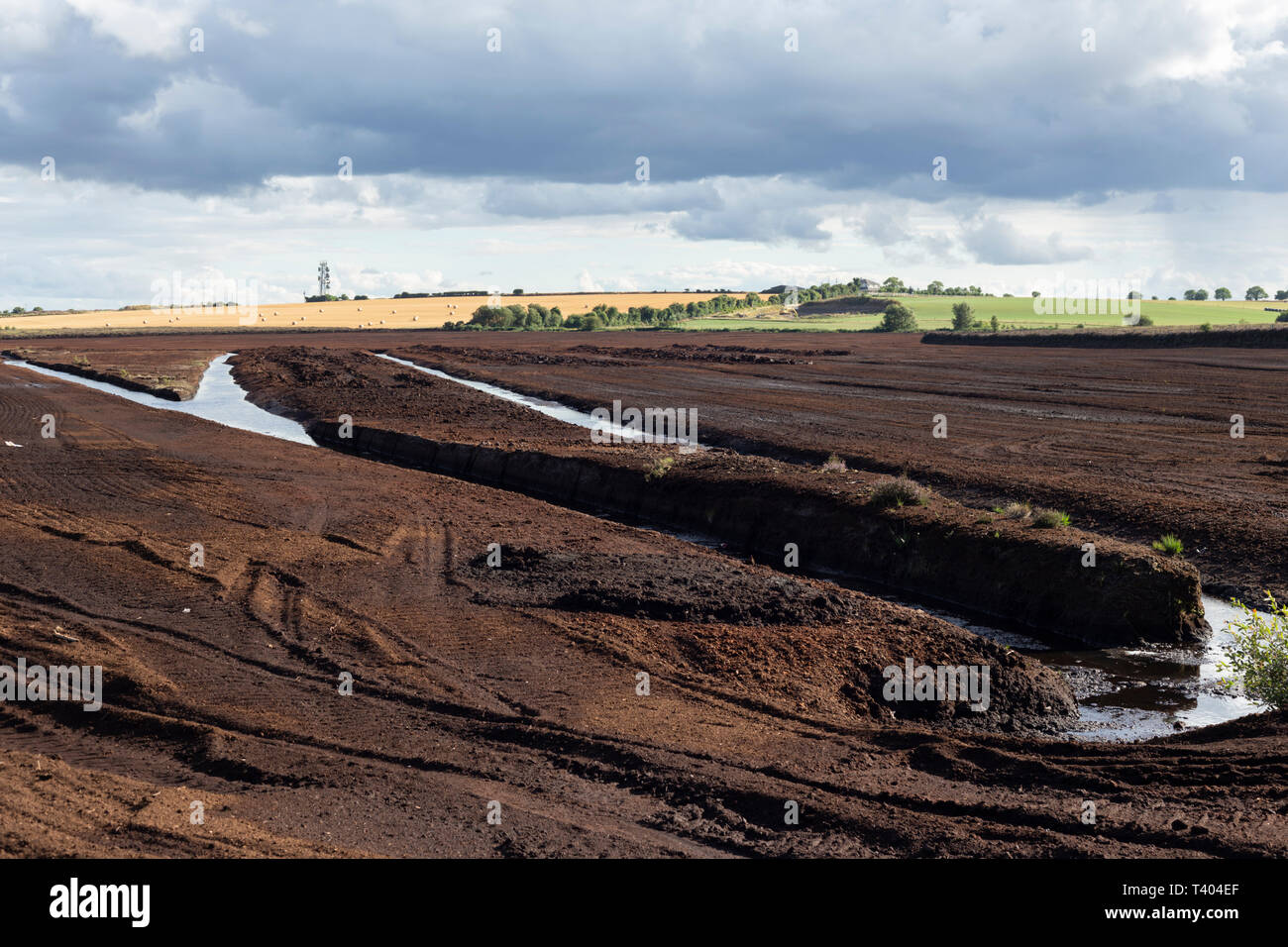 Industrial peat extraction in County Kildare, Ireland Stock Photo