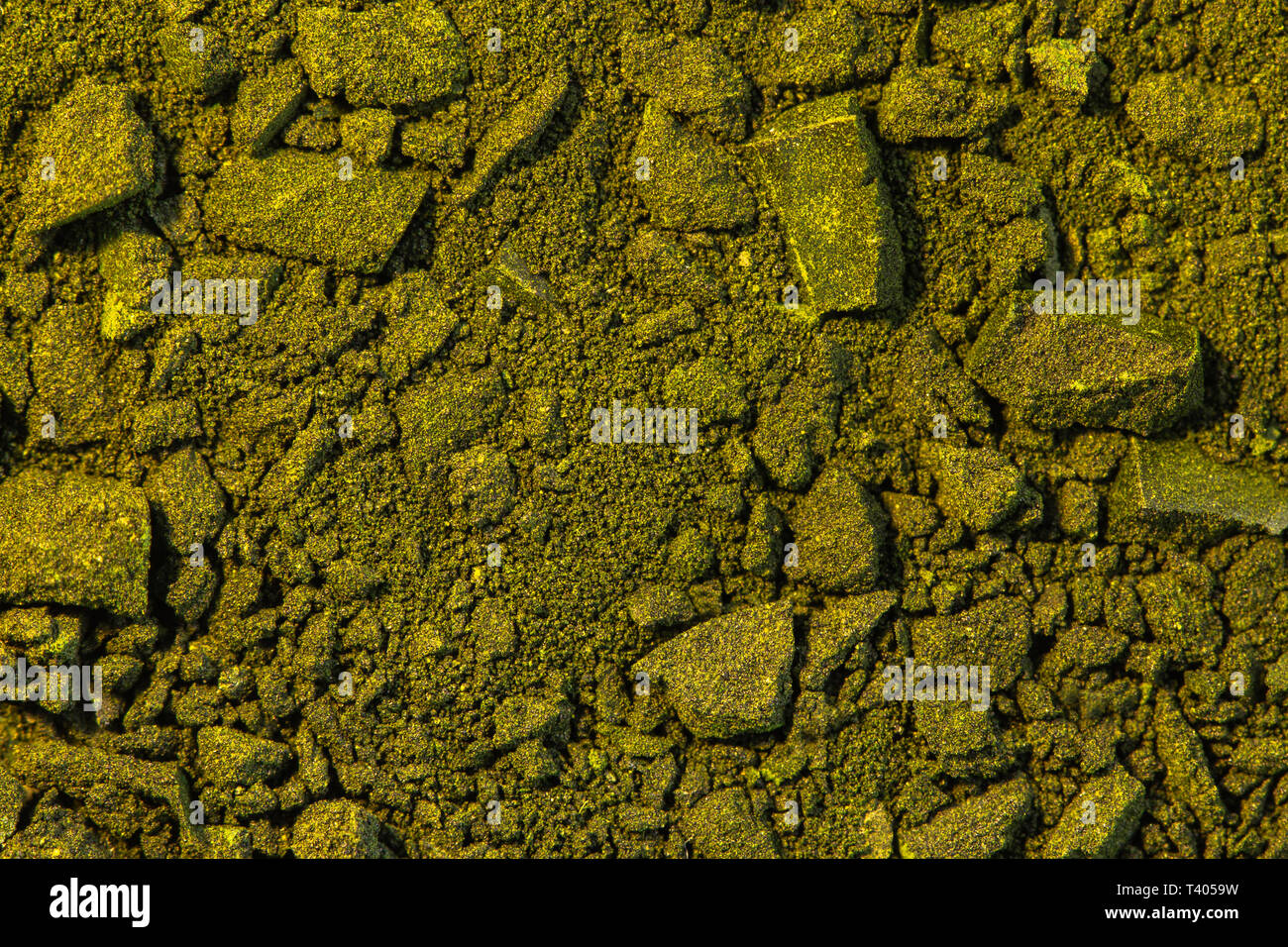 spirulina algae powder detail, healthy naturopathy Stock Photo