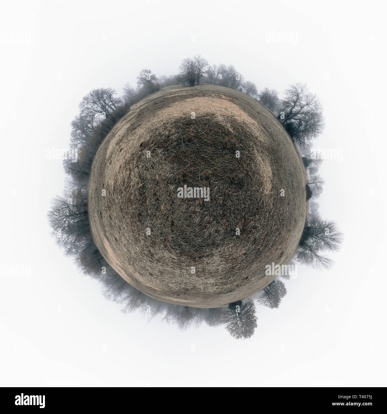 Spherical panorama of a drab, gloomy field with dry grass, surrounded by leafless trees in heavy fog; concept of a sad, desolate planet Stock Photo