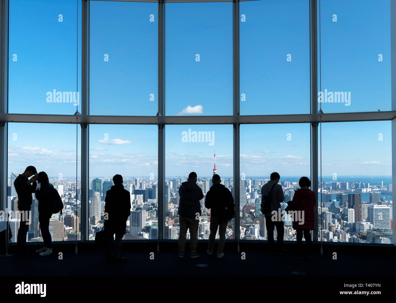 Aerial view over the city from the observation deck of the Mori Tower, Roppongi Hills, Tokyo, Japan Stock Photo