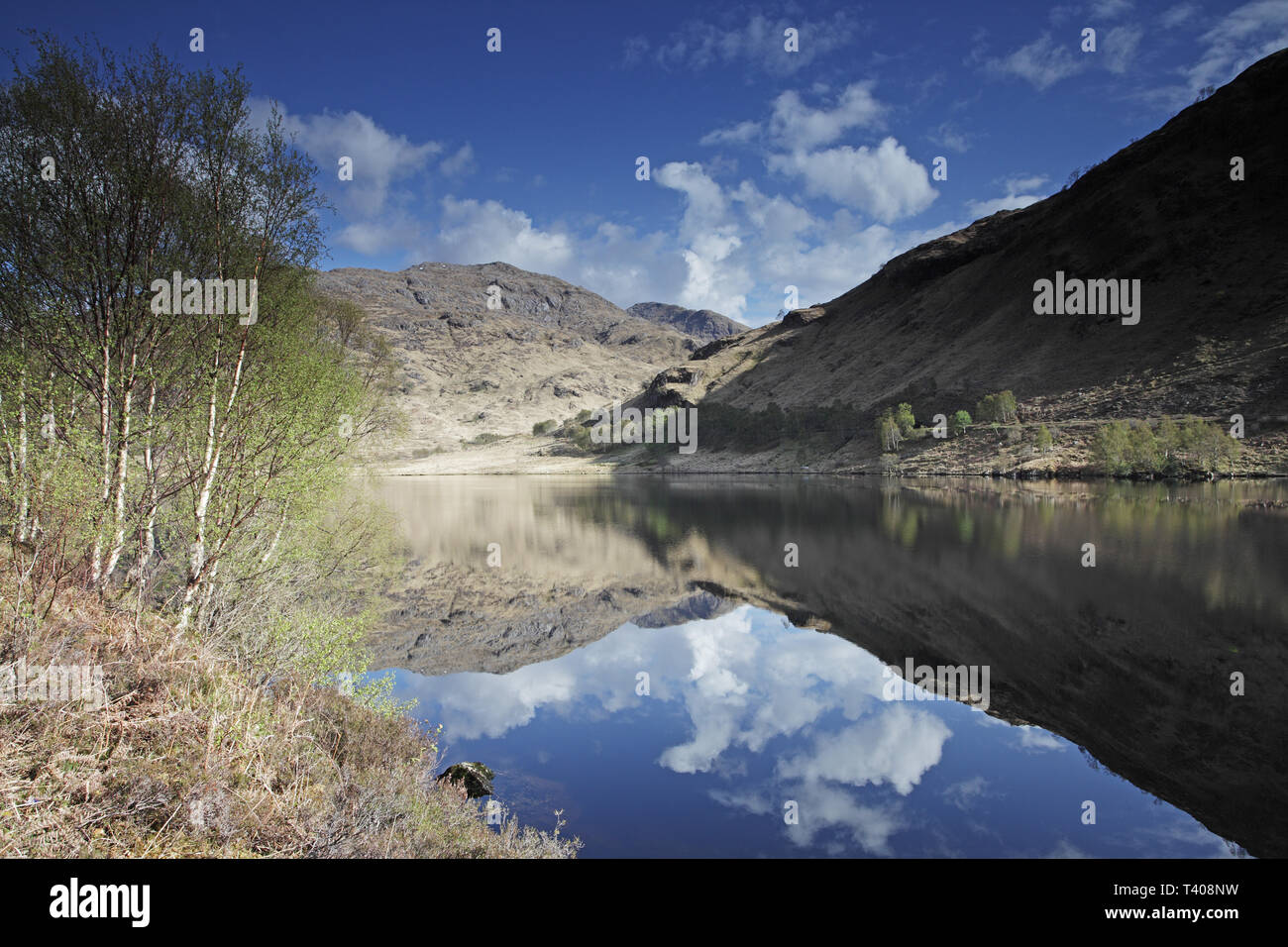 Loch eilt hi-res stock photography and images - Alamy