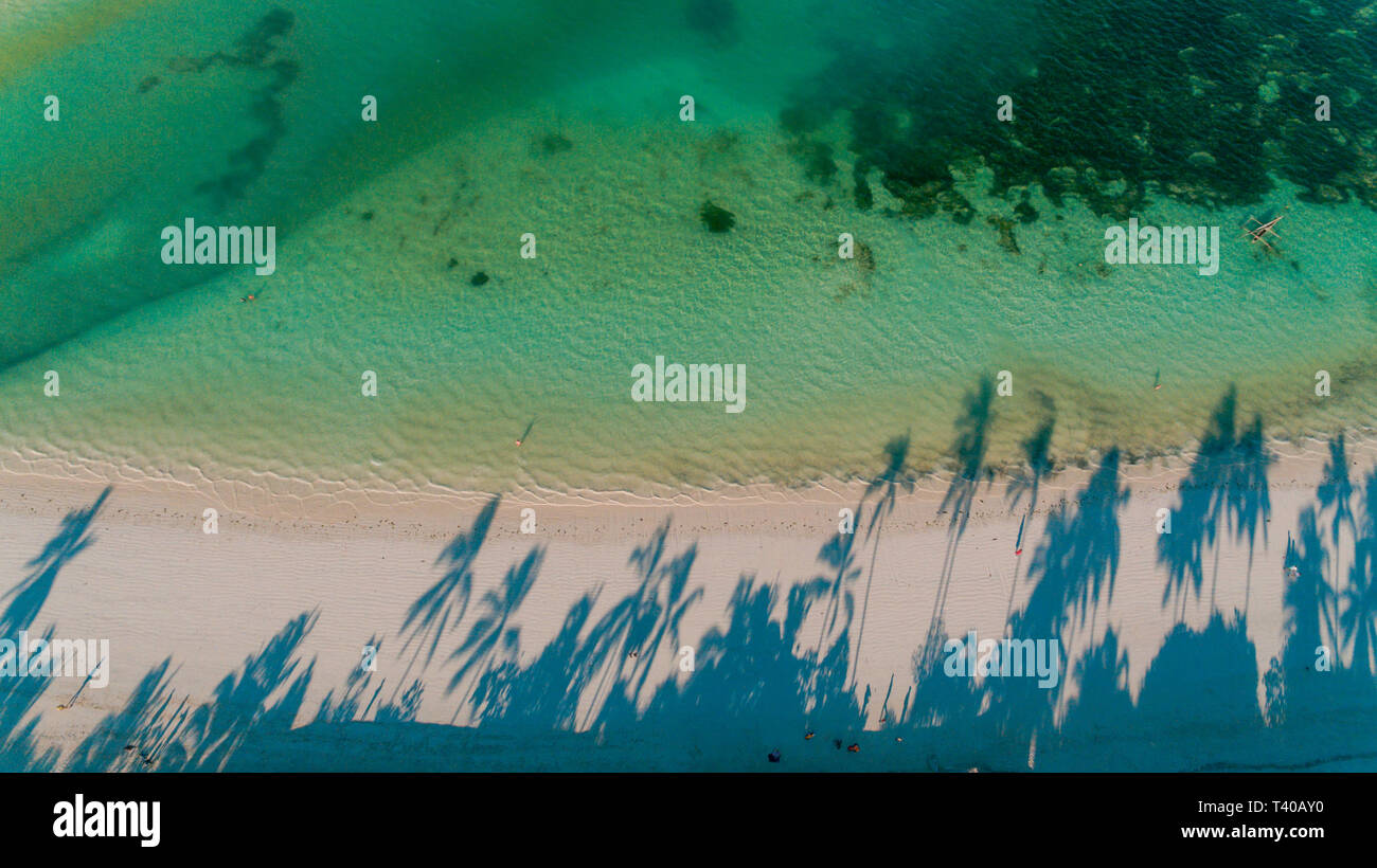 Drone beach palm trees hi-res stock photography and images - Alamy
