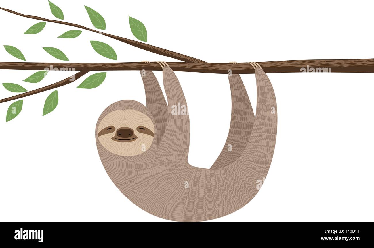 Illustration of cute sloth hanging on a tree branch Stock Vector Image